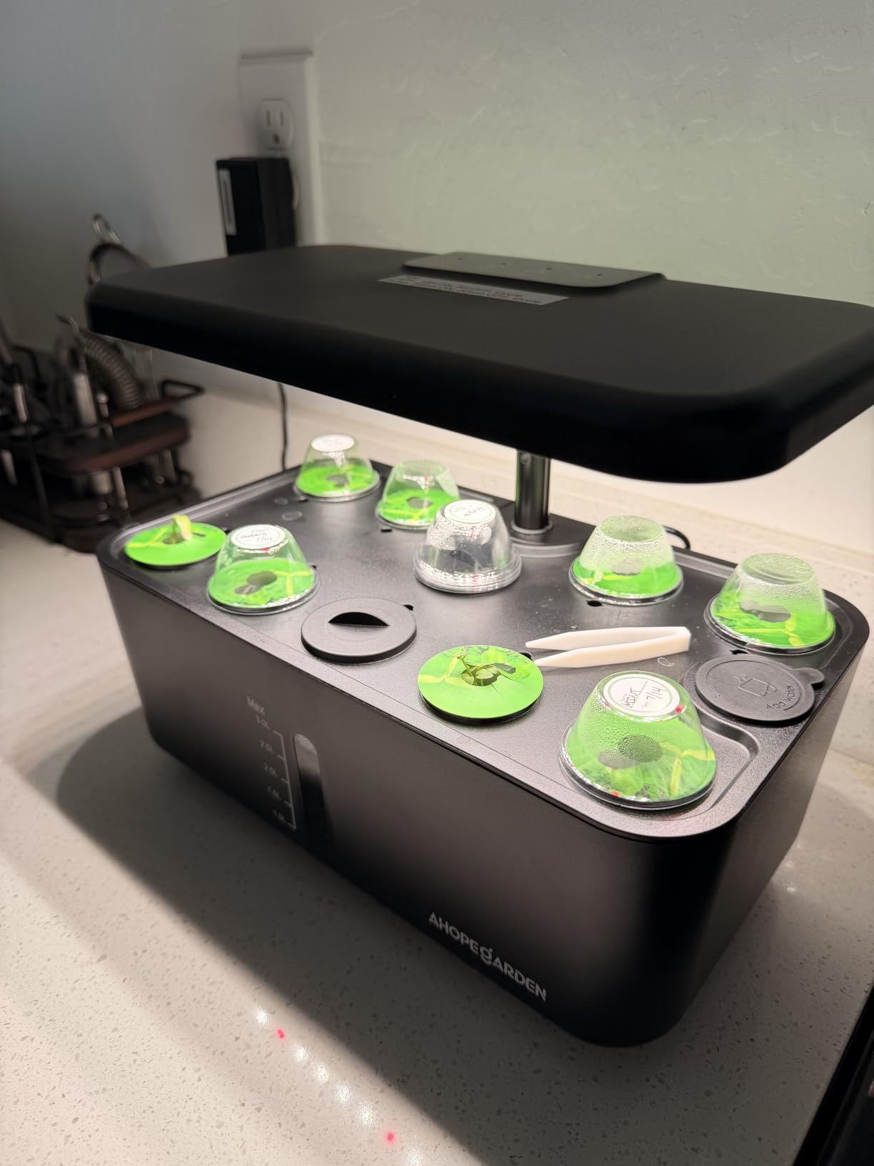 Ahopegarden Indoor Garden Hydroponics Growing System: 10 Pods Kit with LED customer photo 2