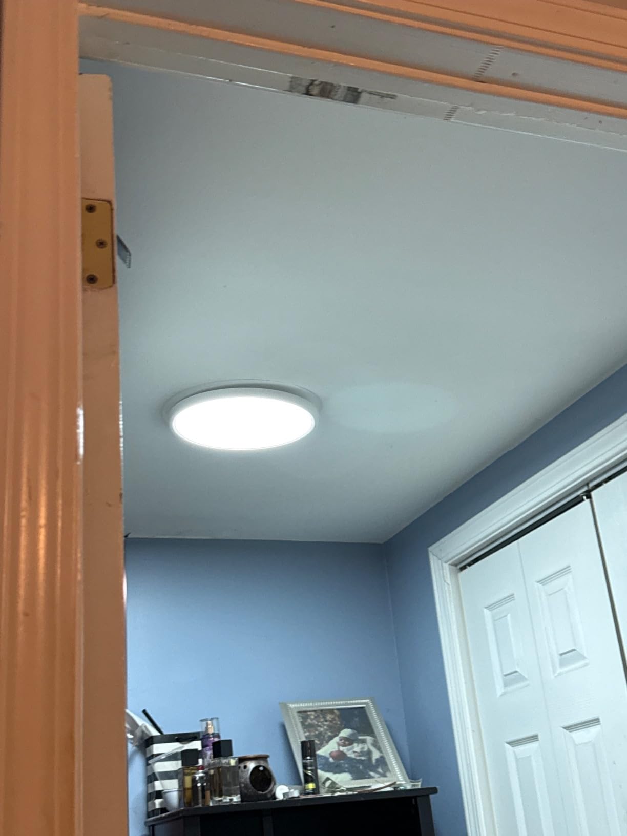 MELEGAN 12 Inch Smart RGB LED Flush Mount Ceiling Light (2 Pcs) | 24W Super Slim RGB Light, Color Changing, Music Sync, Flush Mount, Dimmable 2700-6500K, WiFi Alexa Google, for Kitchen Dining customer photo 1