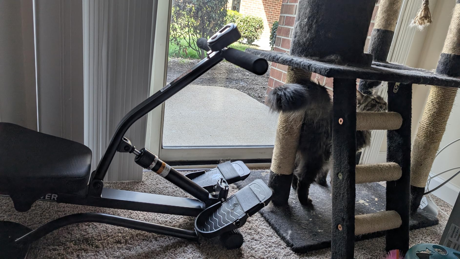 Sunny Health & Fitness Compact Adjustable Rowing Machine with 12 Levels of Resistance for Complete Body Workouts and Optional Free SunnyFit App Enhanced Connectivity customer photo 1