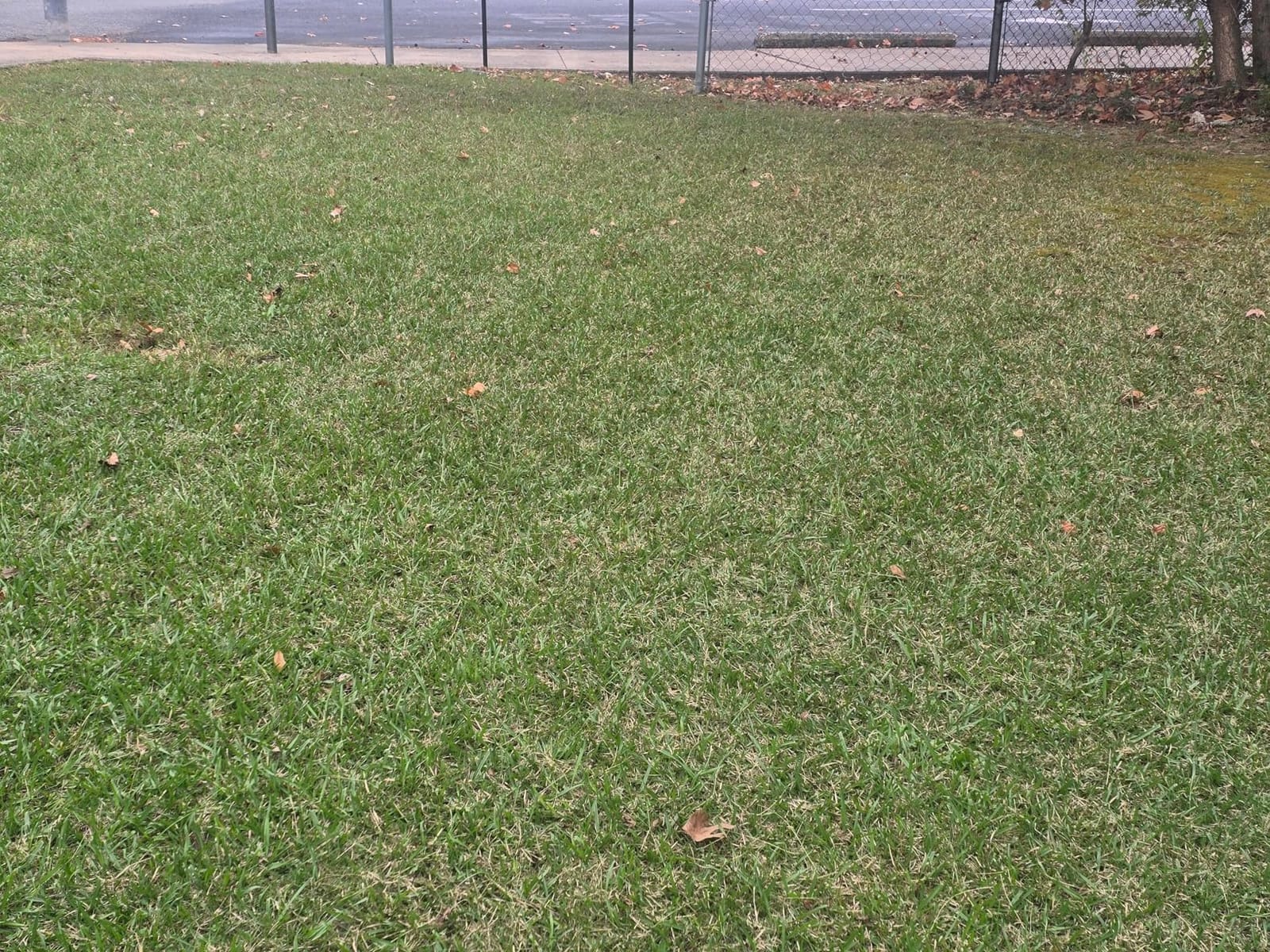 VEVOR Push Lawn Sweeper 21
