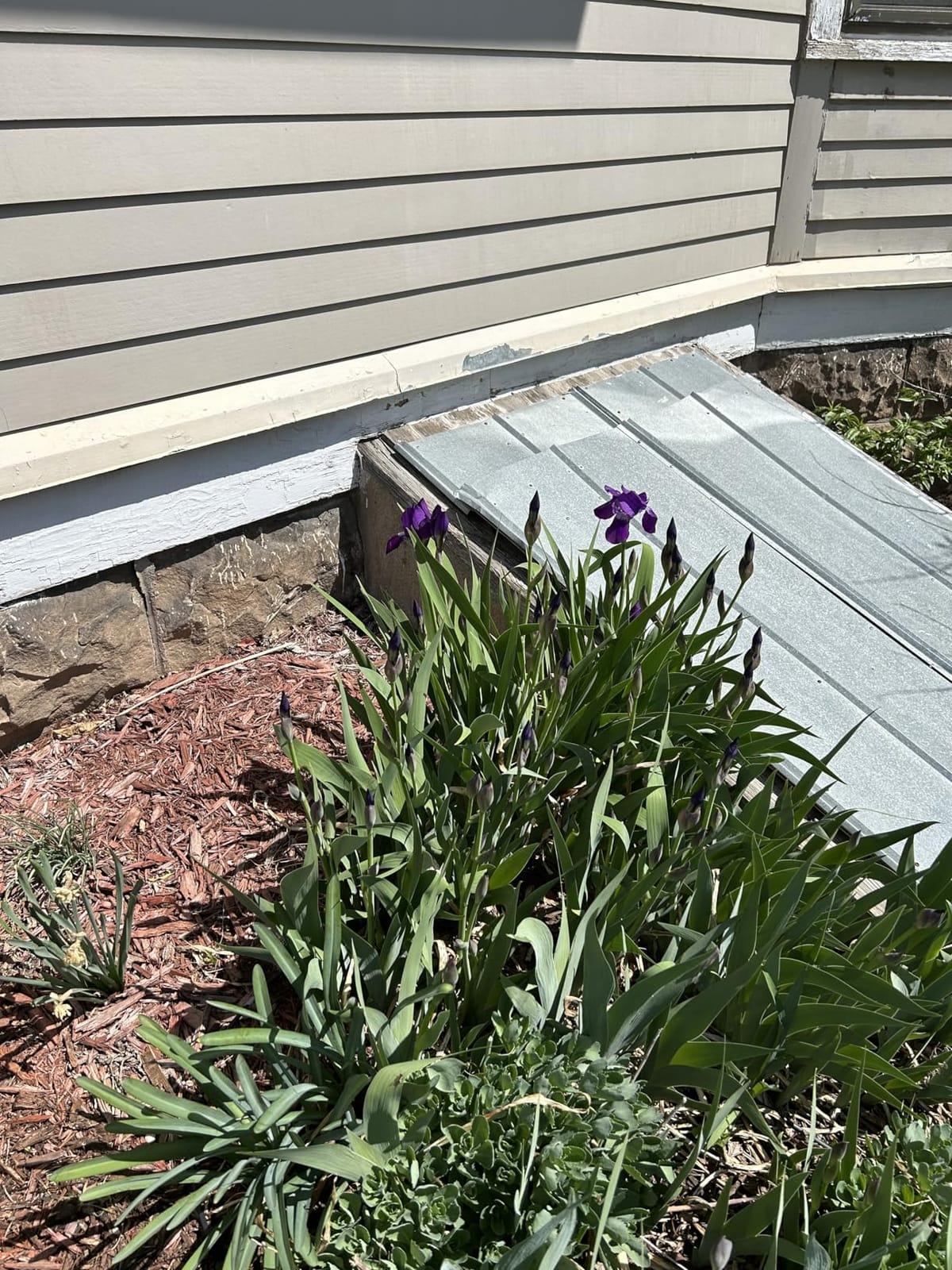 Rain Bird DRIPKITBAG Drip Irrigation Kit customer photo 1