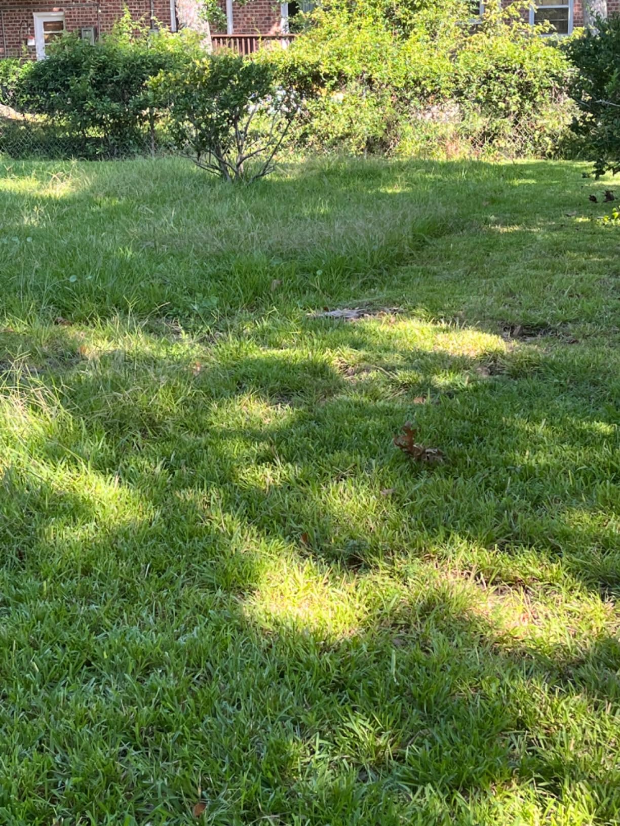 Wild Badger Power 40V 18-In Brushless Cordless Electric Lawn Mower | 18-in brushless push mower for small-to-medium lawns; 5 cut heights, 3-in-1 clipping modes, 40V 4.0Ah battery and charger. customer photo 1