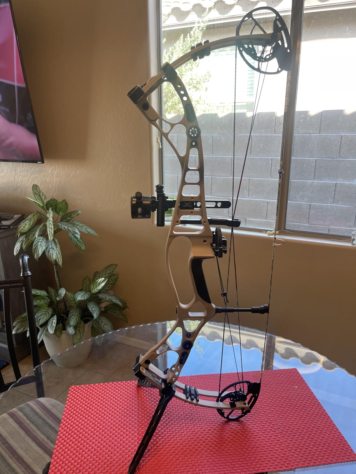 Sanlida Dragon 10 Flagship Top of The Line Hunting Compound Bow Kit for Adults, Standard Hunting Bow for Adults and Advanced Archers, IBO Speed 340 FPS, Limited Life-time Warranty, RH Only customer photo 2