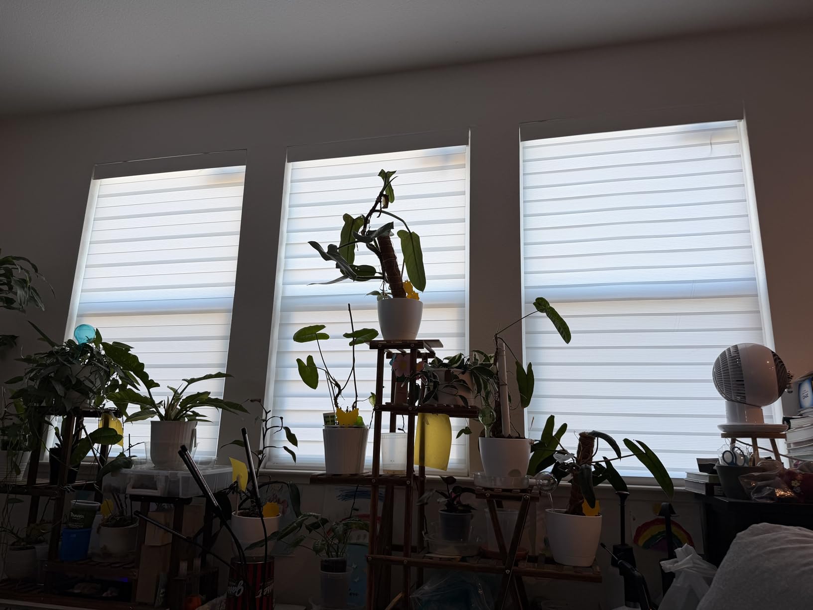 DENFOON Motorized Zebra Blinds, Solar Powered Dual Layer Automatic Shades with Remote Control, Rechargeable Smart Blinds Horizontal Wireless Electric Shades for Windows. White, 46 x 72 customer photo 1