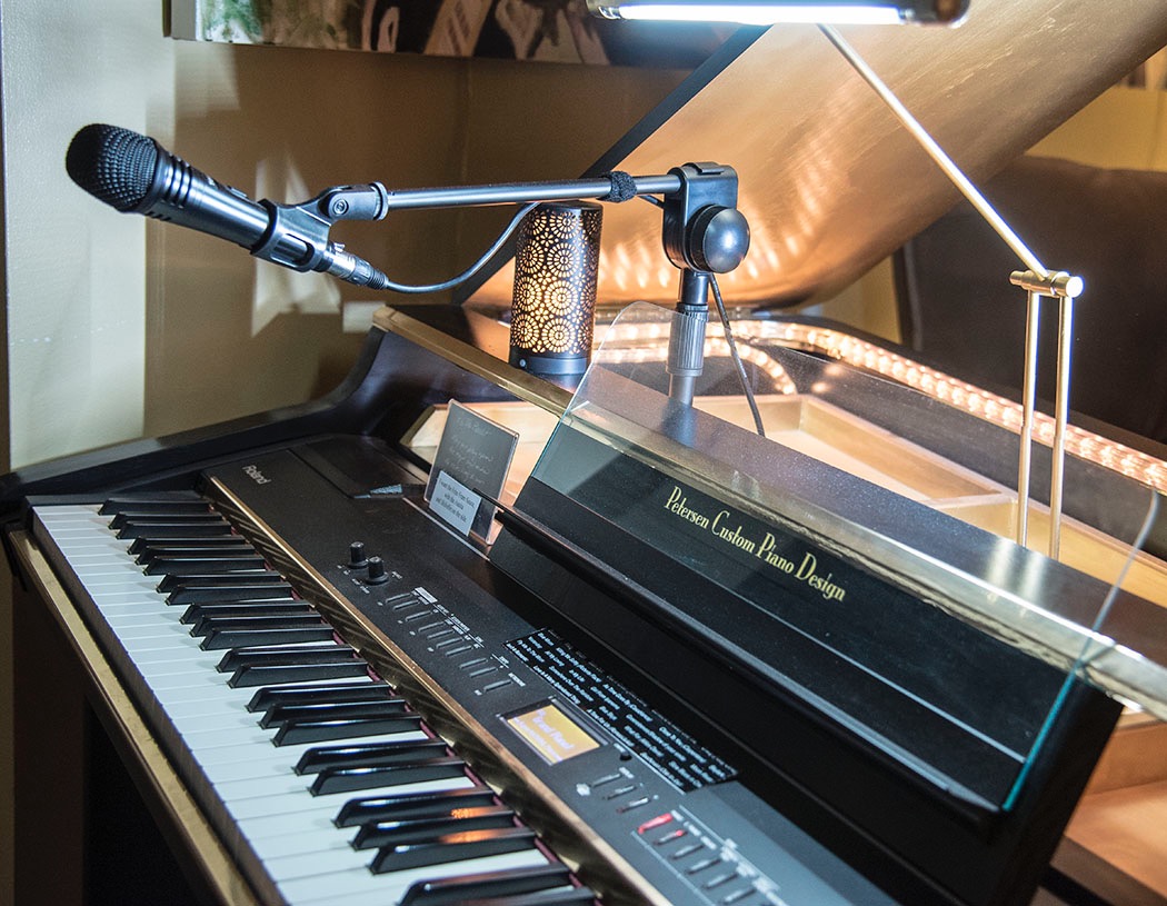 TONOR Professional Vocal Microphone for Singing, Dynamic Handheld Wired Karaoke Mic, Cardioid Studio Microfono with 450 cm/157inch XLR to 1/4