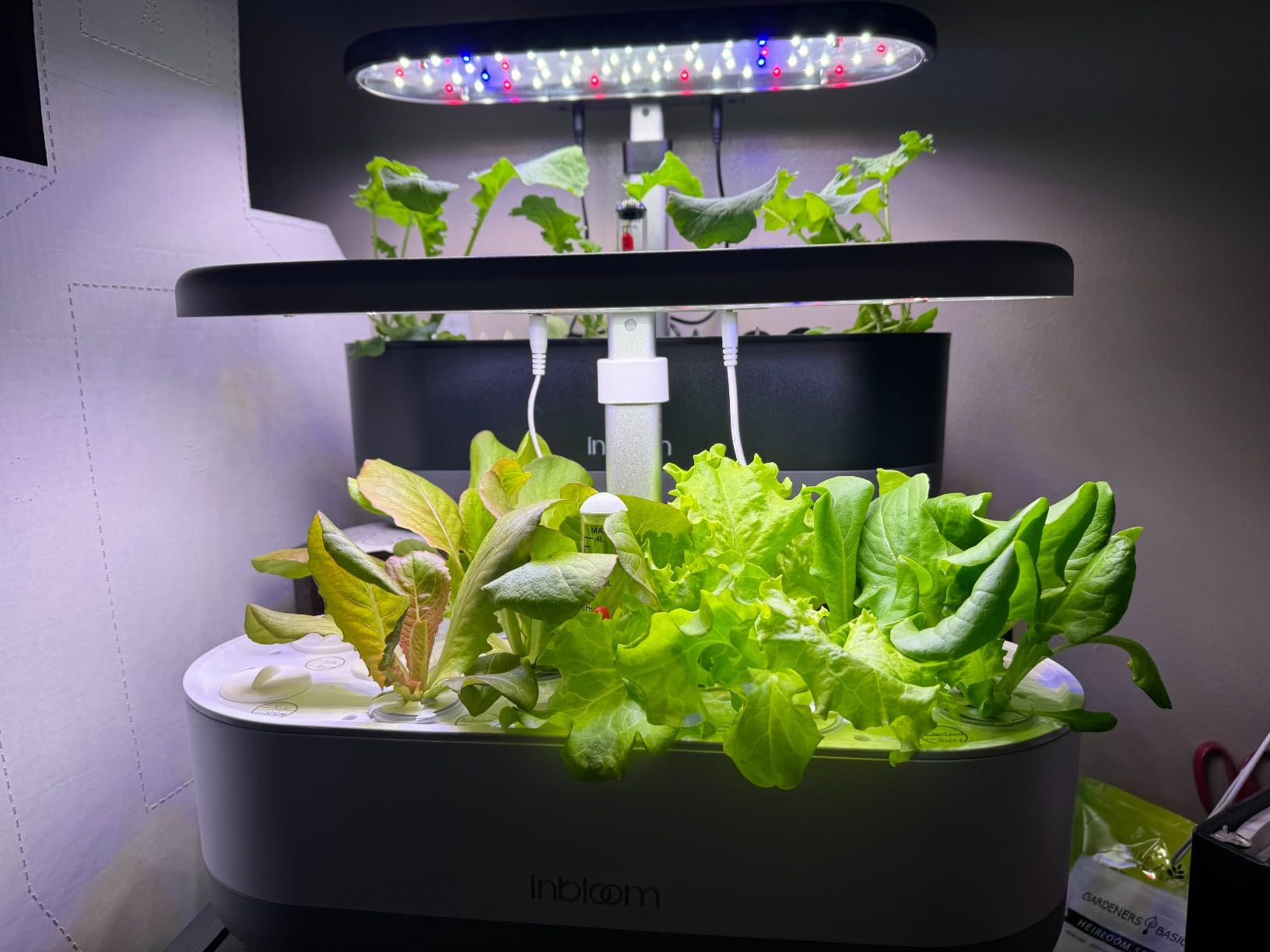 inbloom 12 Pods Hydroponics Growing System Kit, Herb Garden Planter Indoor Kit, Indoor Gardening Hydroponics Growing System with Pods, 4.2L Water Pump, Height Adjustable, Gifts for Woman, Black customer photo 2
