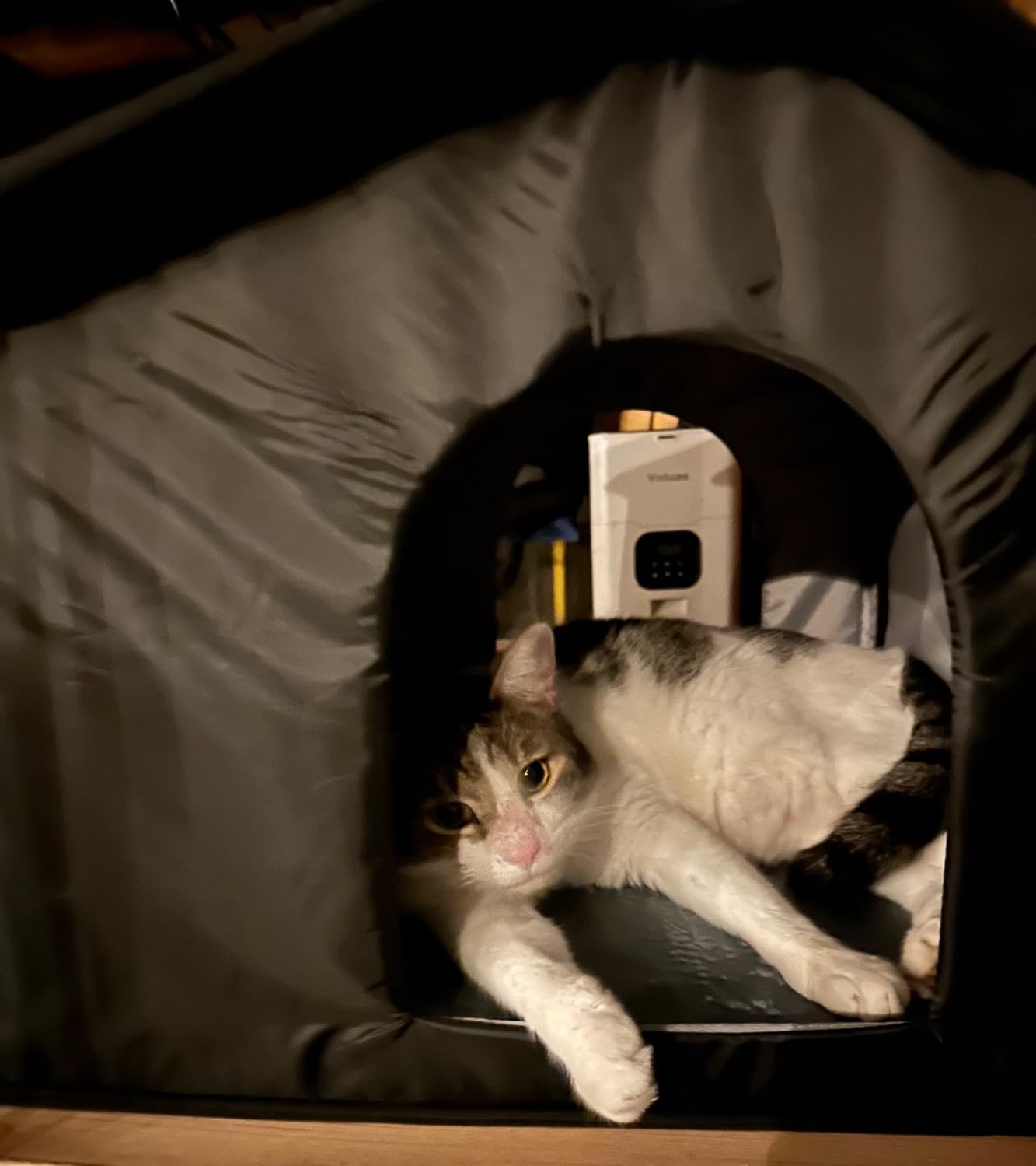 SHU UFANRO Insulated Heated Cat House Indoor/Outdoor, Weatherproof Cat House with Heated Pad for Winter, Outside Shelter for Feral Cats and Small Dogs (20