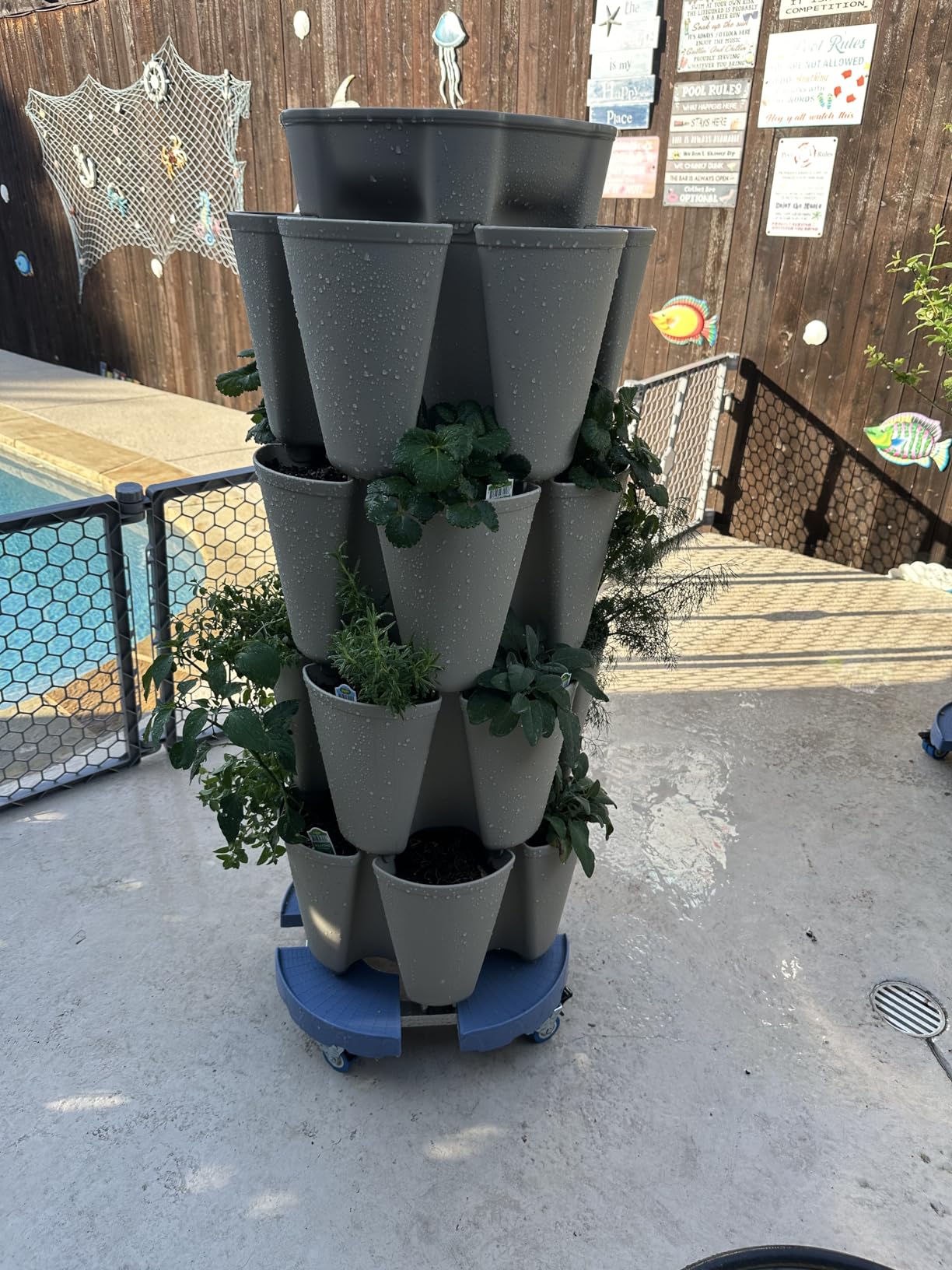 Greenstalk Patented Large 5 Tier Vertical Garden Planter with Patented Internal Watering System Great for Growing a Variety of Strawberries, Vegetables, Herbs, & Flowers (Evergreen) customer photo 1