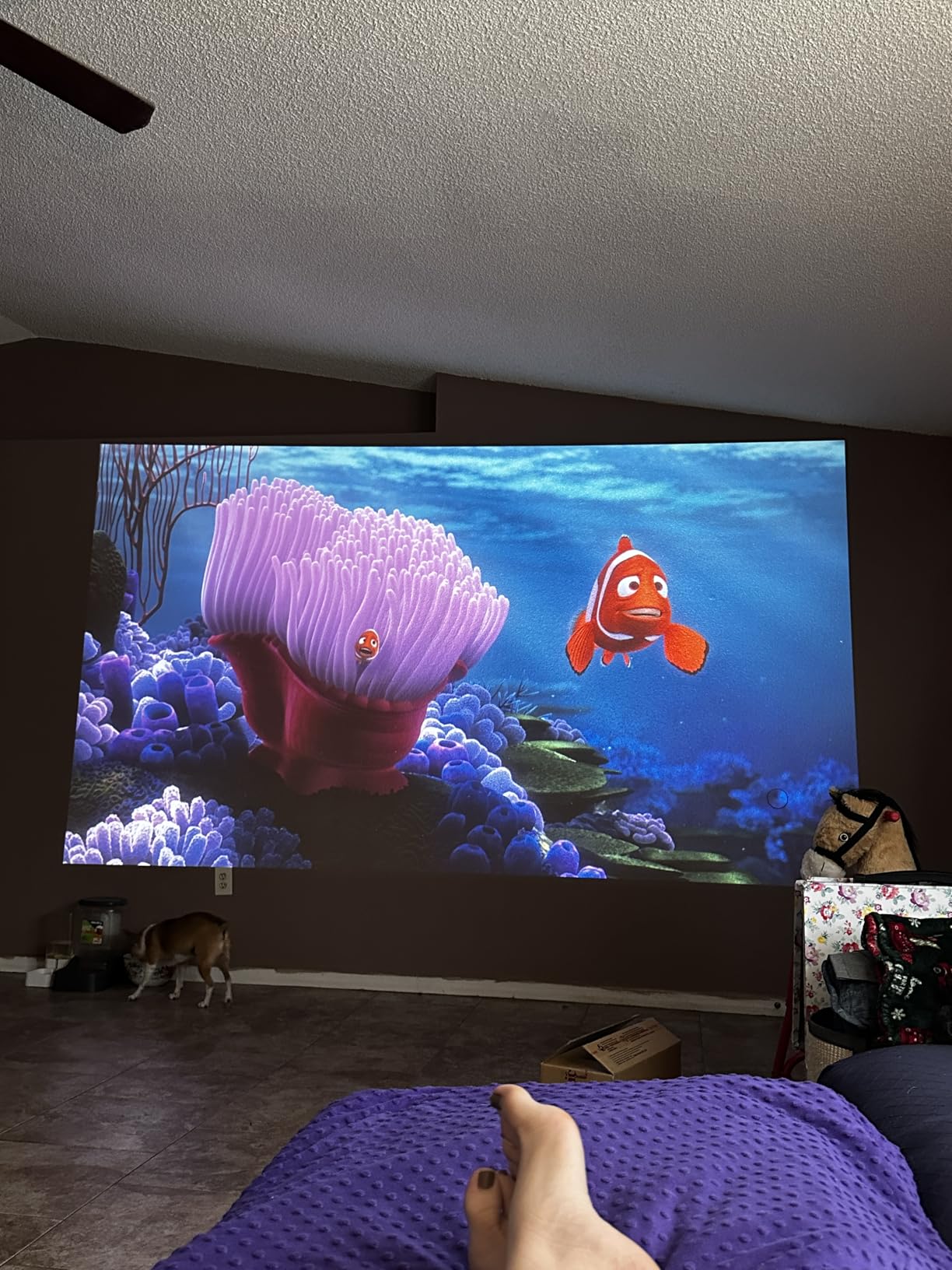ViewSonic PA503HD 4000 Lumens 1080p Full HD DLP Projector, High Brightness | HDMI, USB, Optical Zoom, Auto Keystone, 120Hz, Ceiling Mount, Classroom, Business, Presentation, Large Screens, Smooth Action customer photo 1