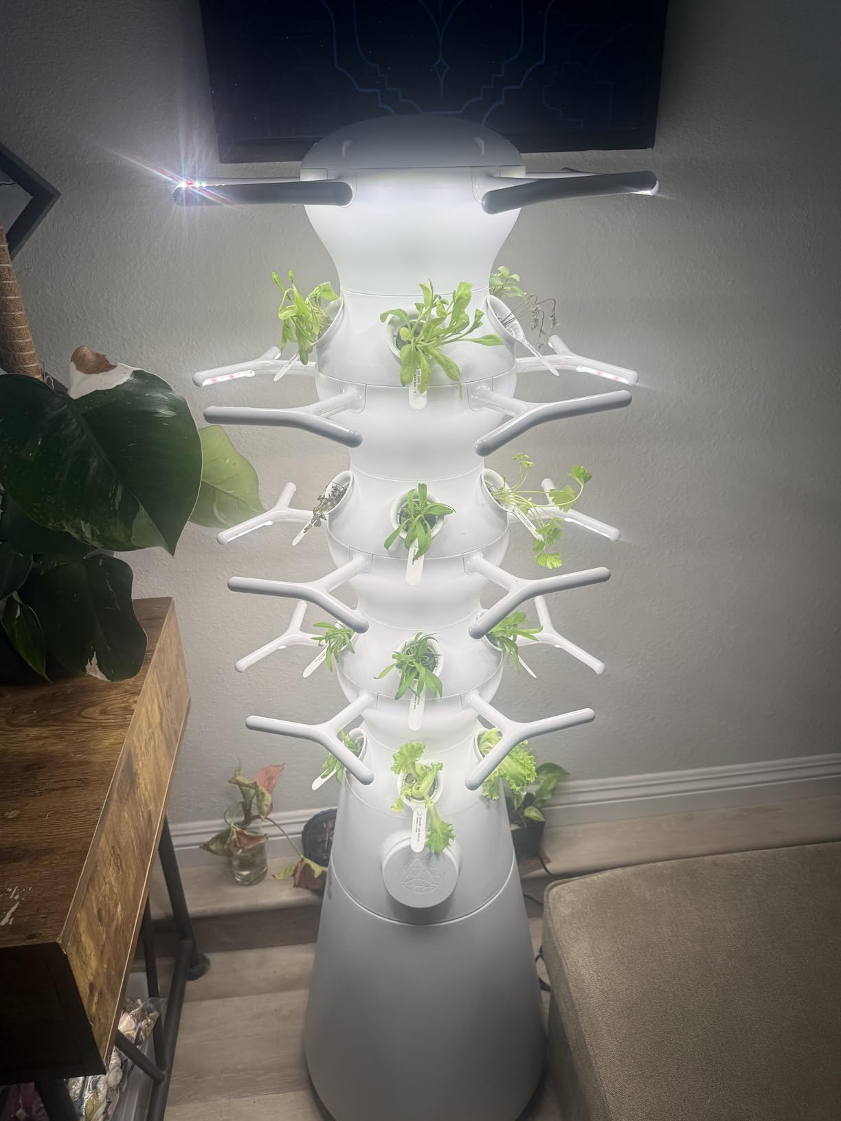 Lettuce Grow Farmstand Nook | 4ft 7in Vertical Hydroponic Garden Tower | Self-watering system | Compact footprint | Indoor or outdoor | Easy assembly customer photo 1