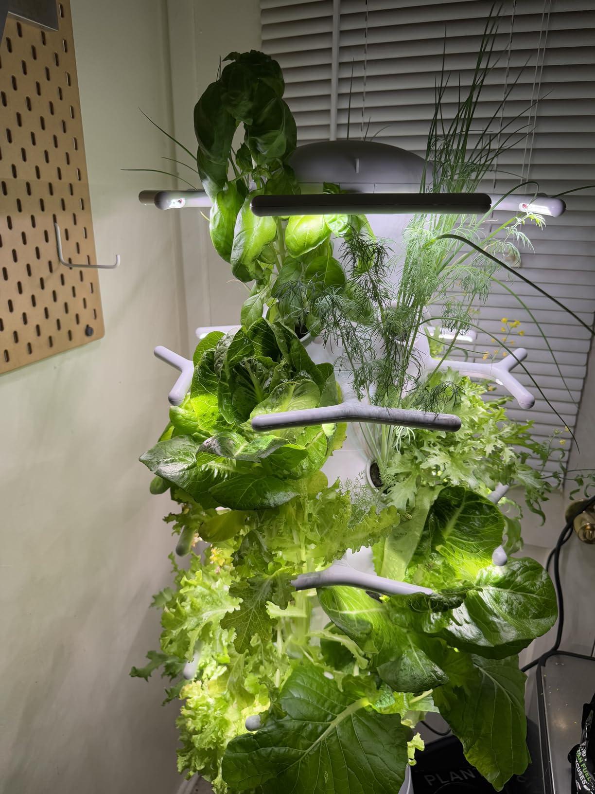 Lettuce Grow Farmstand Nook | 4ft 7in Vertical Hydroponic Garden Tower | Self-watering system | Compact footprint | Indoor or outdoor | Easy assembly customer photo 2