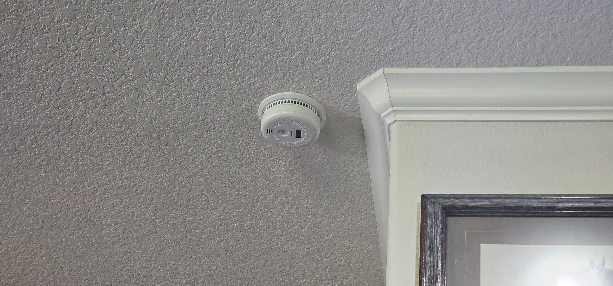 First Alert Combination Smoke & Carbon Monoxide Alarm, Battery Operated Detector with Test & Silence Button, SMCO100 customer photo 2