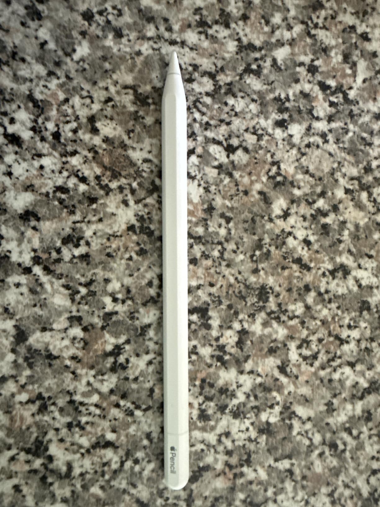 Apple Pencil (USB-C) - Pixel-Perfect Precision, Tilt Sensitivity, Charges and Pairs with USB-C customer photo 1