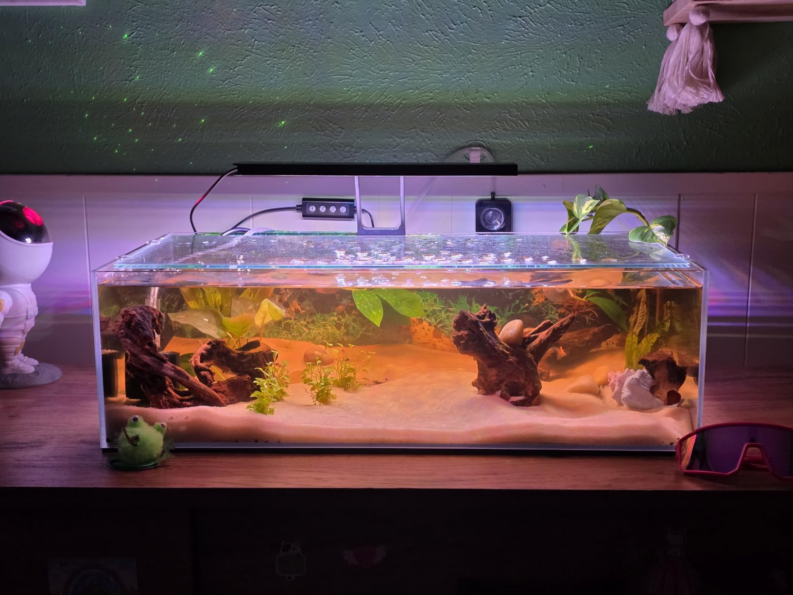 LANDEN Aquarium 75H 37 Gallon Ultra Clear Glass Rimless Fish Tank customer photo 1
