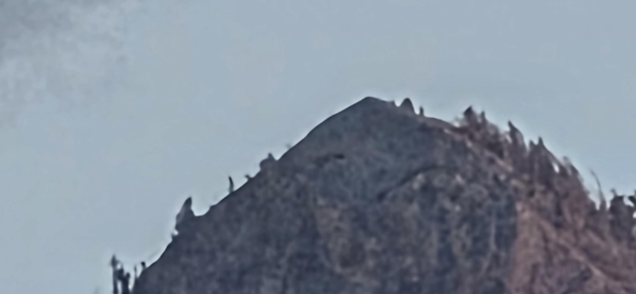 Canon RF200-800mm F6.3-9 IS USM Super-Telephoto Zoom Lens customer photo 2