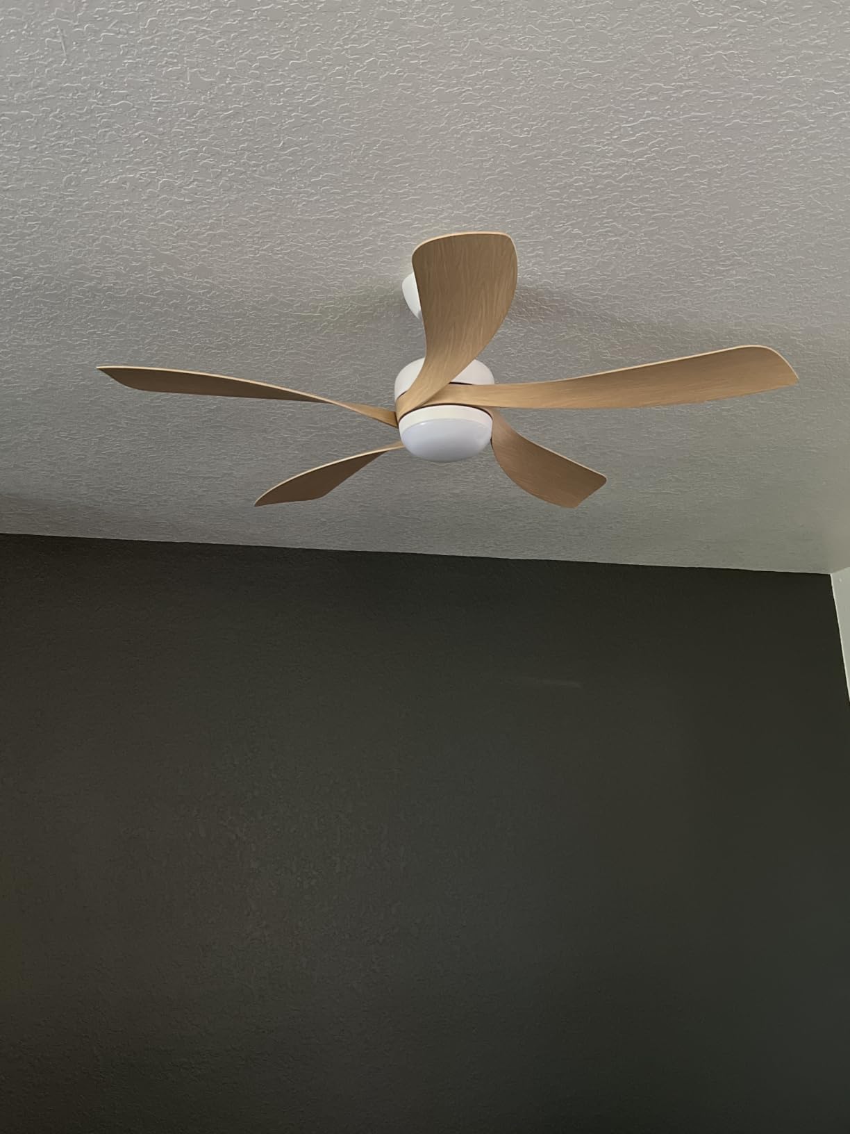 Sofucor 52 Inch Smart Ceiling Fan with Light, 5 ABS Blades, Brown | Alexa/Google Assistant/APP/Remote Control, Reversible DC Motor, Timer, 6 Speeds, 3CCT For Living Room Bedroom Patio Farmhouse customer photo 2