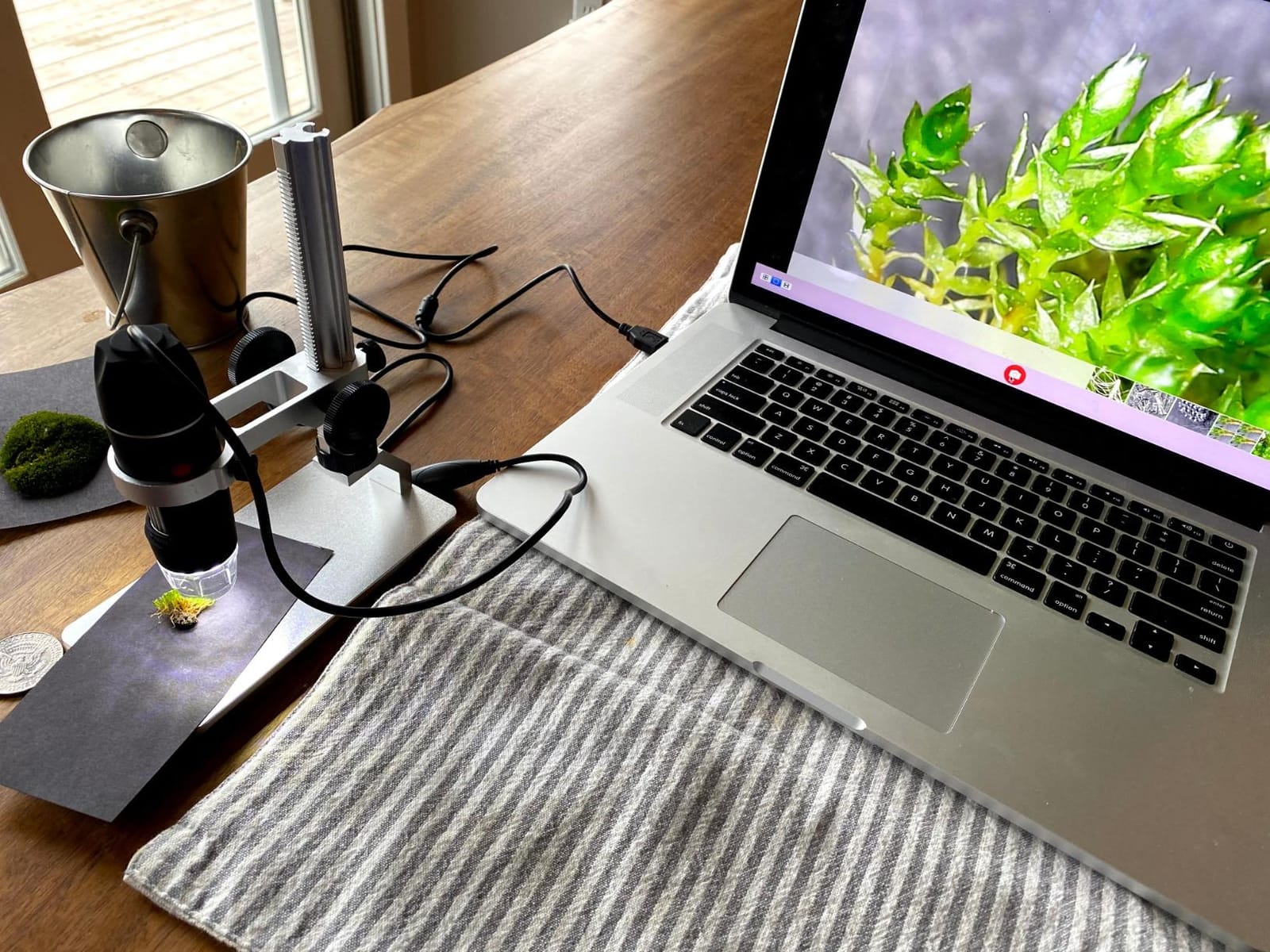 Jiusion 4K 50-1000x WiFi USB Digital Handheld Microscope with Metal Stand | 3840x2160P wireless/wired 8 LED endoscope camera for iPhone iPad Android Mac Windows Linux Chrome customer photo 2