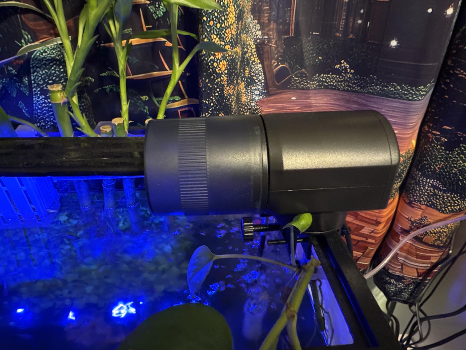 Automatic Fish Feeder Dispenser for Aquarium: 200ml Large Capacity Auto Feeders for Small Tank Turtle Betta Koi - Battery Food Feeding Timer for Flakes Pellet Vacation Weekend Day customer photo 1