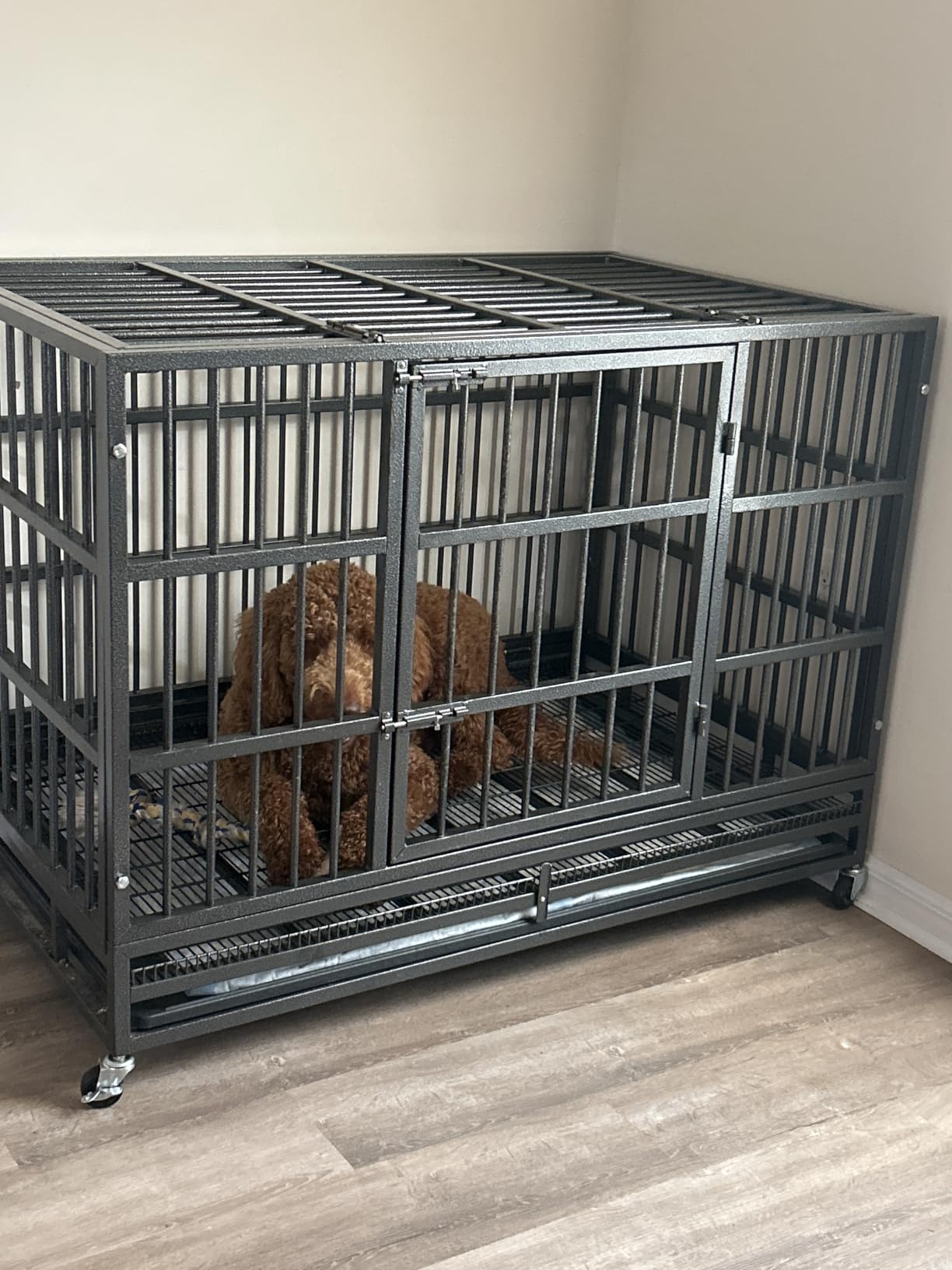 KOKOTANGS 48 Inch Heavy Duty Dog Crate Cage with Wheels, Indestructible and Escape Proof Steel Kennel Indoor for High Anxiety Dogs with Sturdy Locks, Double Door and Tray, Extra Large XL XXL, Black customer photo 1