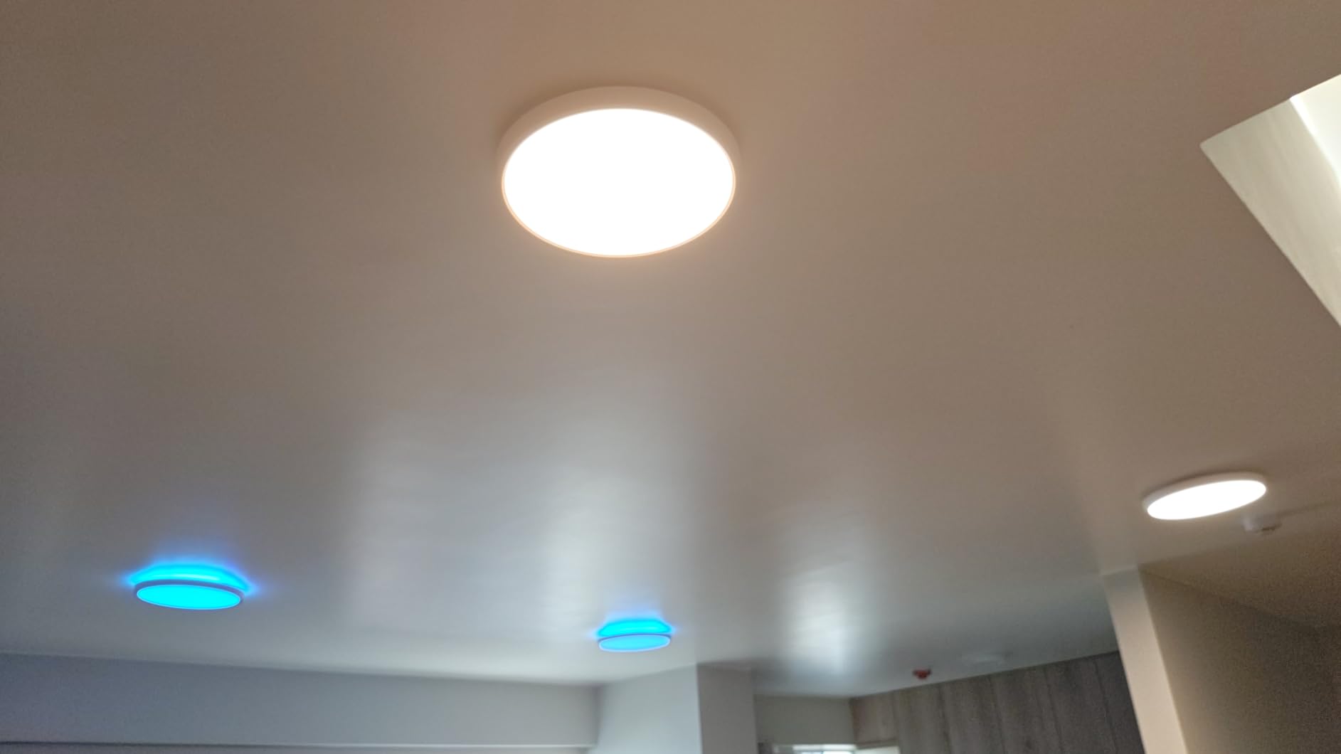 Govee Smart Ceiling Light, RGBIC 2400LM 2700K-6500K 12 Inch 1 Pack White | RGBIC LED Flush Ceiling Light Fixture, 2400LM DIY Colors, Works with Matter Alexa for Bedroom, Living Room customer photo 2