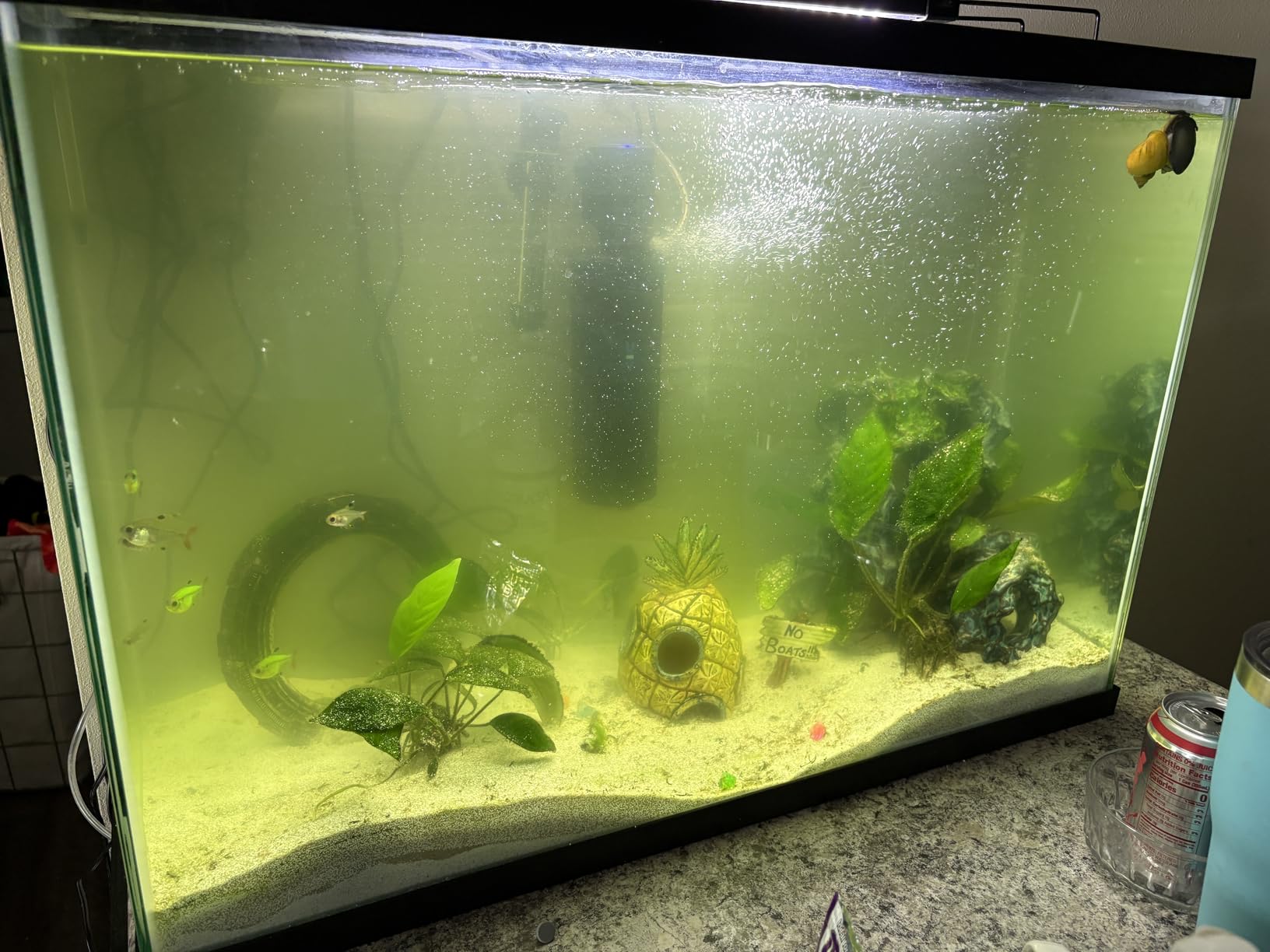 coospider-repta 200GPH Aquarium Filter, U-V for Aquarium for 20-75 Gal Tank, Submersible Pump Filter for Green Water and Algae Clean, Ultra-Silent Green Killing Machine with Fish Tank Deodorization customer photo 1