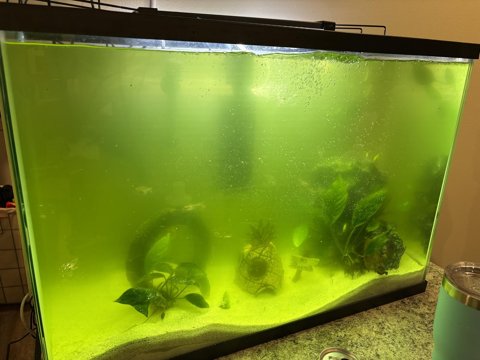 coospider-repta 200GPH Aquarium Filter, U-V for Aquarium for 20-75 Gal Tank, Submersible Pump Filter for Green Water and Algae Clean, Ultra-Silent Green Killing Machine with Fish Tank Deodorization customer photo 2
