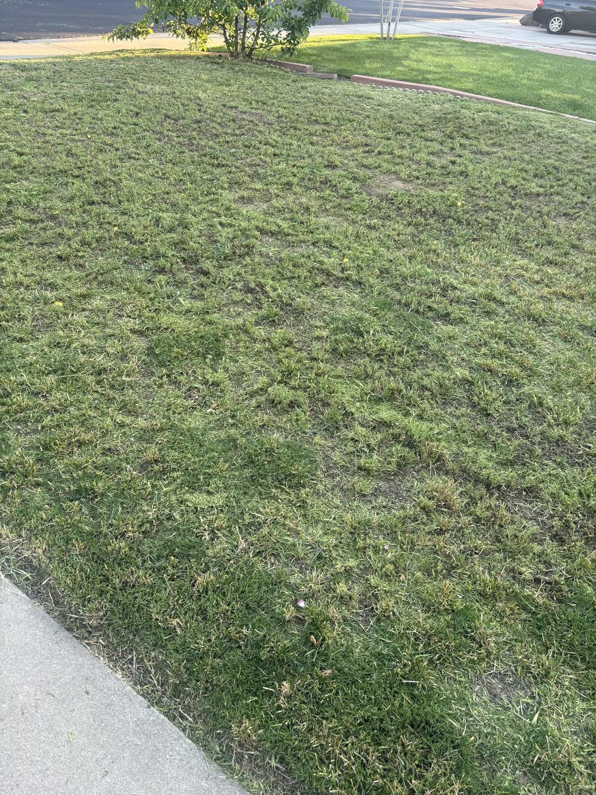 LawnMaster 48V MAX 19-inch Brushless Cordless Lawn Mower, CLMF4819X | 2X24V MAX 4.0Ah Battery, Dual Charger, 6 Cutting Positions customer photo 1