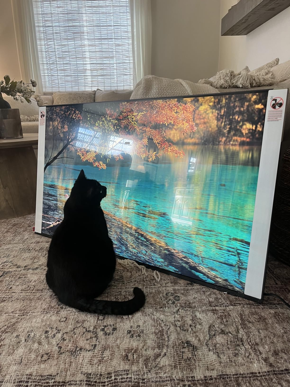 Samsung 98-Inch Class Neo QLED 4K QN90D Series Mini LED, Neo Quantum HDR+ Smart TV w/Dolby Atmos, Object Tracking Sound+, Motion Xcelerator, Real Depth Enhancer Pro, Alexa Built-in (QN98QN90D, 2024) customer photo 2
