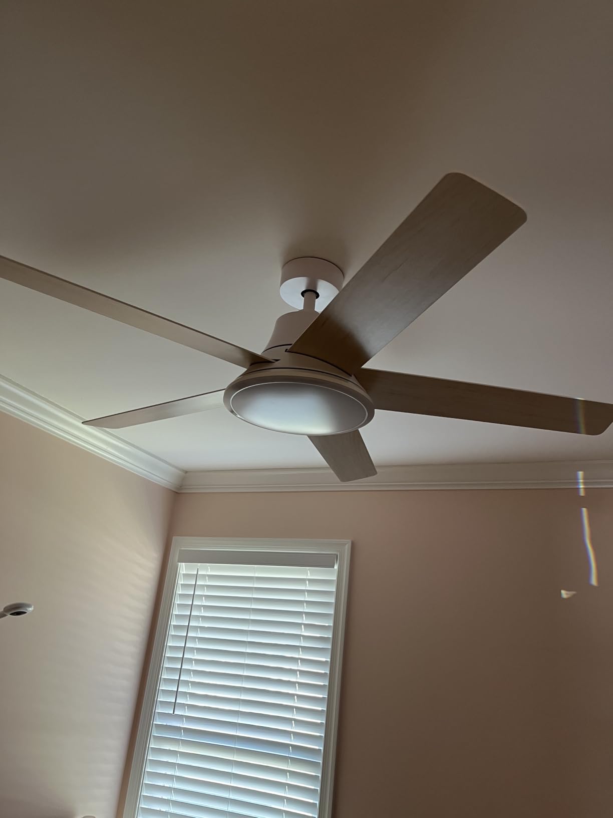 DREO Smart Ceiling Fan with Lights, 52 Inch, 12 Speeds & 3 Fan Modes, Stepless, Dimmable LED Light, Timer, 22dB Quiet DC Motor, Remote/APP/Alexa Control, Black Ceiling Fans Indoor, 2026 Upgraded customer photo 1