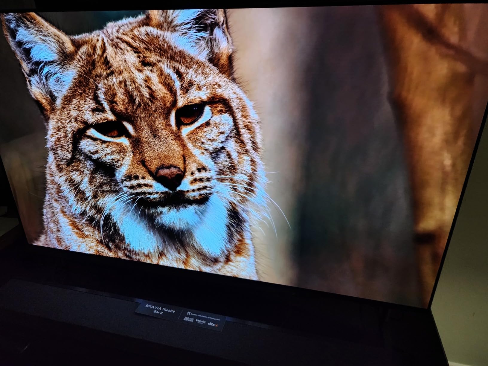 Sony 55 Inch BRAVIA 8 OLED 4K HDR Smart Google TV (K-55XR80) | XR Processor with AI Technology, Dolby Vision/Atmos, Exclusive Features for PlayStation 5, 4K movie credits included customer photo 1
