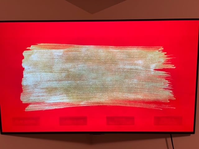 77-Inch Class OLED evo C4 Series Smart TV 4K Processor Flat Screen with Magic Remote AI-Powered with Alexa Built-in (OLED77C4PUA, 2024) customer photo 1