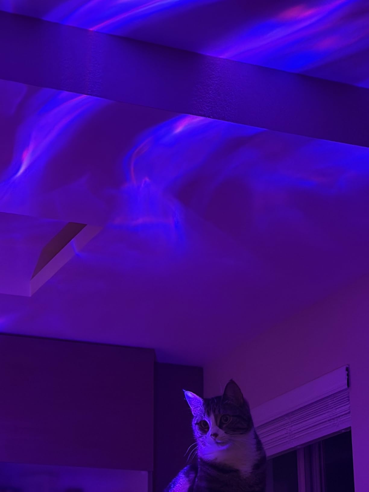 Galaxy Projector Night Light, 18-Color Teen Girl Gifts Trendy Stuff, GIFT BOX | 4-IN-1 Sunset/Lava/Northern/Ocean Projector, Remote, 10 Brightness, Gifts for Teen Girls, Ambient Lighting, 1Hr Timer, Dorm Decor customer photo 1