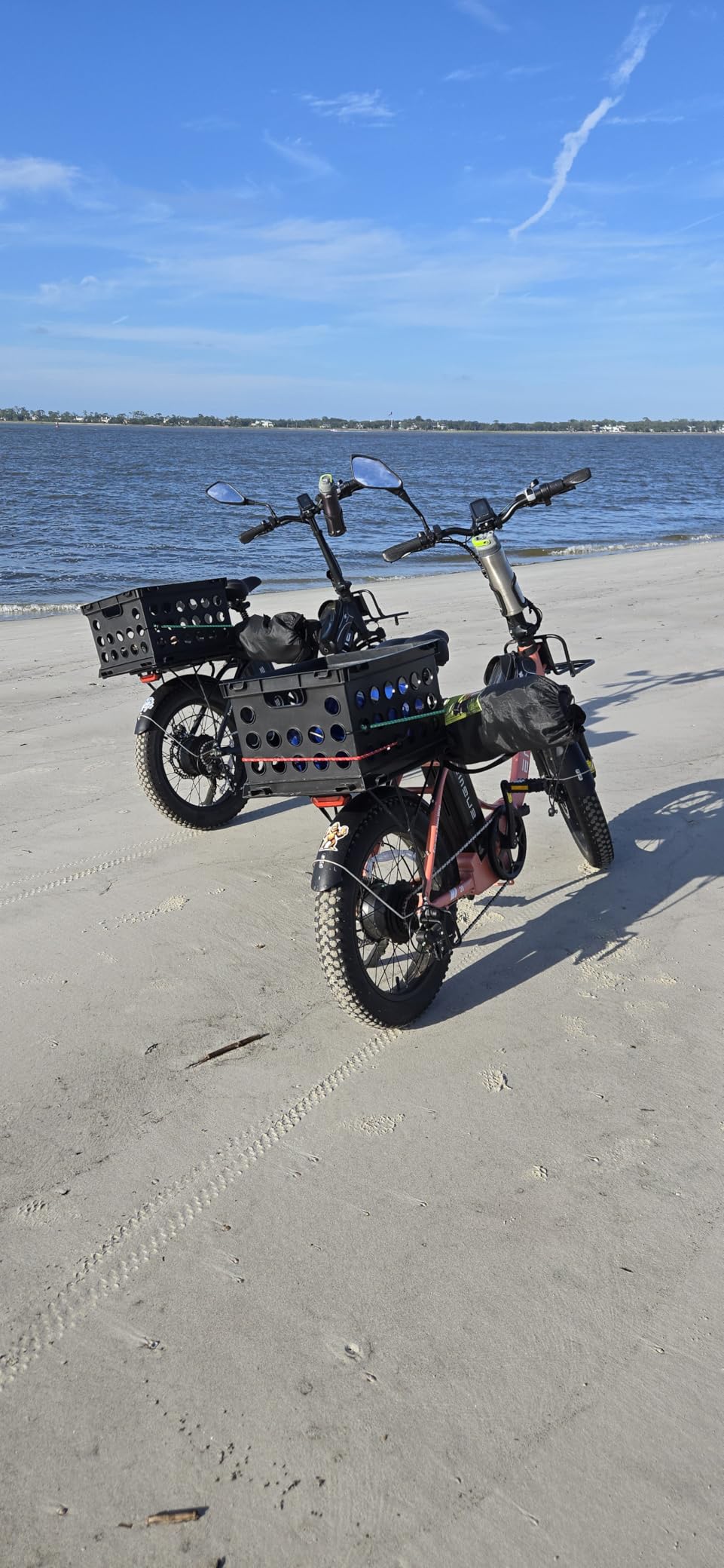 ENGWE 1125W Electric Bike for Adults, L20 2.0 20''×3.0