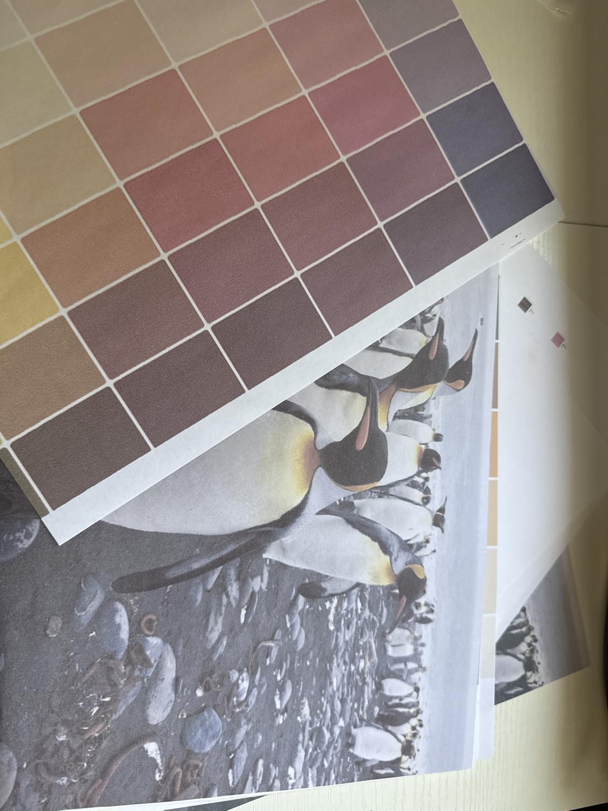 Pinckney Cartridge-Free Super-Tank Printer with Sublimation Ink Bundle for Heat Transfers, Easy Fill, Built-in Scanner & Copier and Printing up to 13 x 19 Inches (Wide Format) customer photo 1