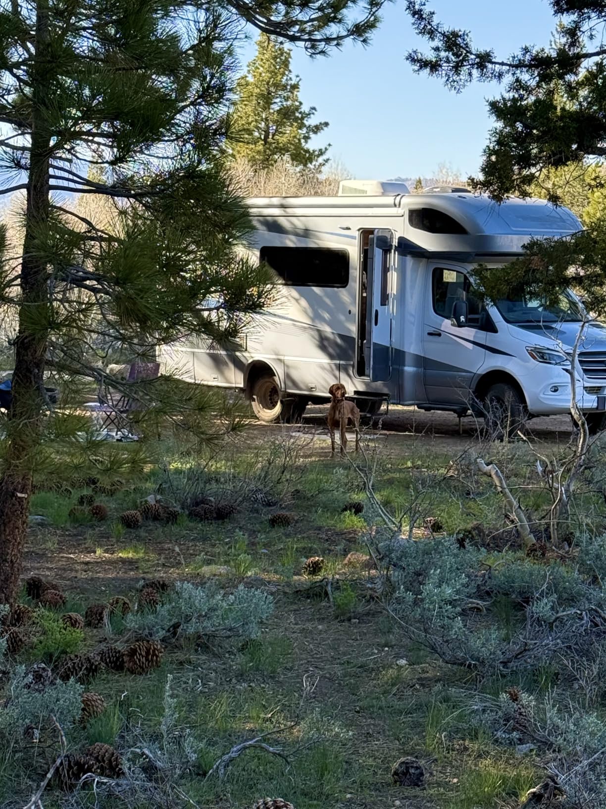 BLUETTI AC200PL Portable Power Station 2304Wh 2400W LiFePO4 Solar Generator | Expandable to 8448Wh w/ 4 AC Outlets (3600W Power Lifting), 30A TT30 Output, Battery Backup for RV, Camping, Home Use customer photo 2