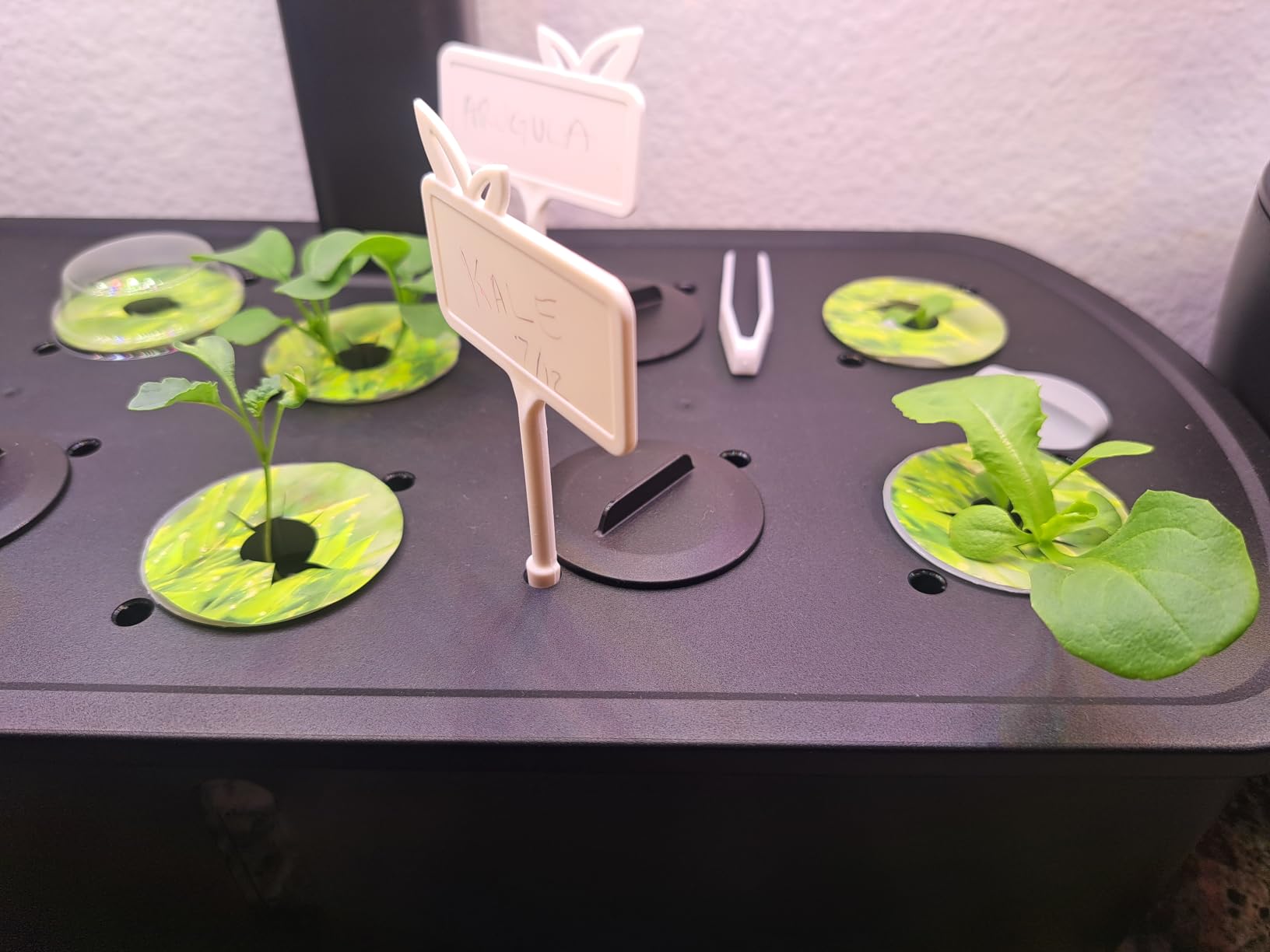 LetPot LPH-Air Hydroponics Growing System Kits, APP & WiFi Controlled Smart Indoor Garden with Adjustable 24W Grow Light Full Spectrum, 10 Pods Planter Indoor Gardening for Gifts, Kitchen, Vegetable customer photo 2