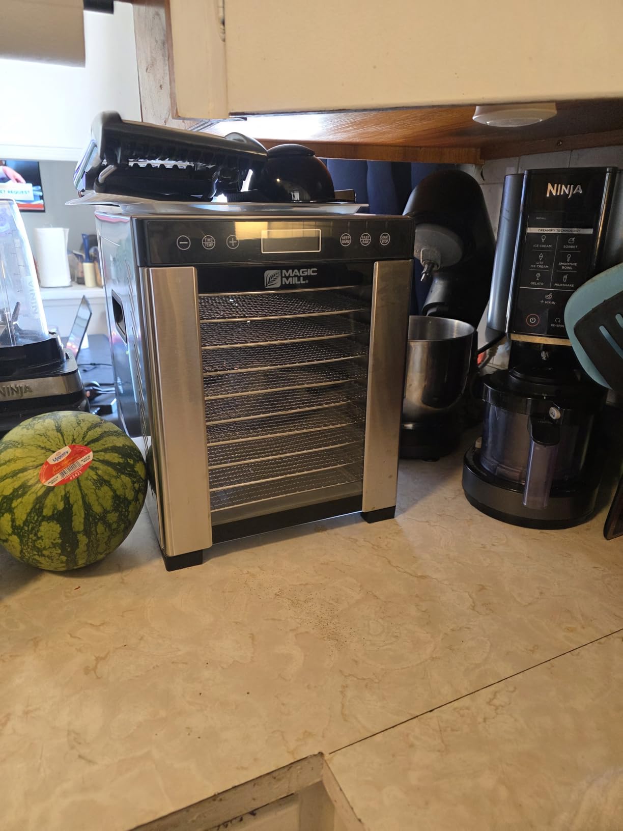 Magic Mill Pro Food Dehydrator Machine | 10 Stainless Steel Trays | Dryer for Jerky, Dog Treats, Herb, Meat, Beef, Fruit | Keep Warm Function, Digital Timer and Temperature Control, ETL Approved customer photo 1