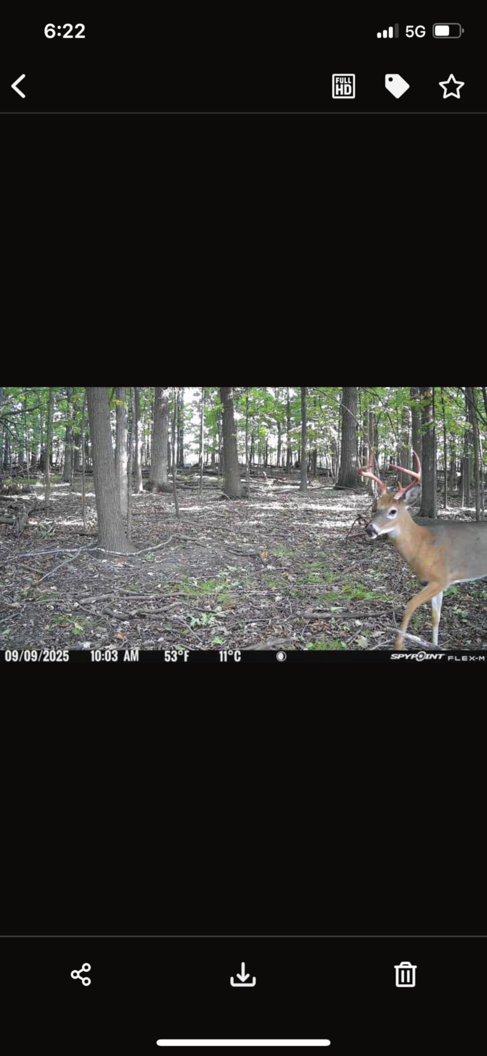 SPYPOINT Flex-M Twin Pack Cellular Trail Cameras - Best Hunting Accessories, No WiFi Needed, GPS, Night Vision, Dual-Sim LTE, IP65 Water-Resistant Game Camera, 28MP Photos, 720p Videos + Sound (2) customer photo 1