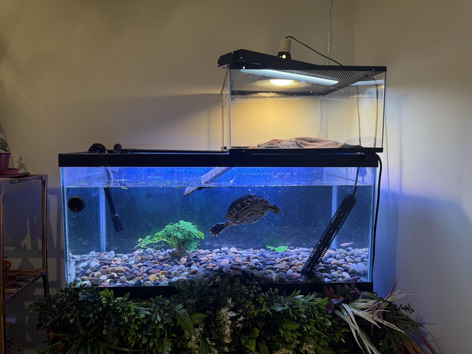 AQQA LED Aquarium Light, 24/7 & DIY Mode Full Spectrum Fish Tank Light | Adjustable Timer/Brightness, Extendable Bracket Aquarium Plant Light, Memory Function, IP68 Waterproof, for 18-24 Inch Tank customer photo 1