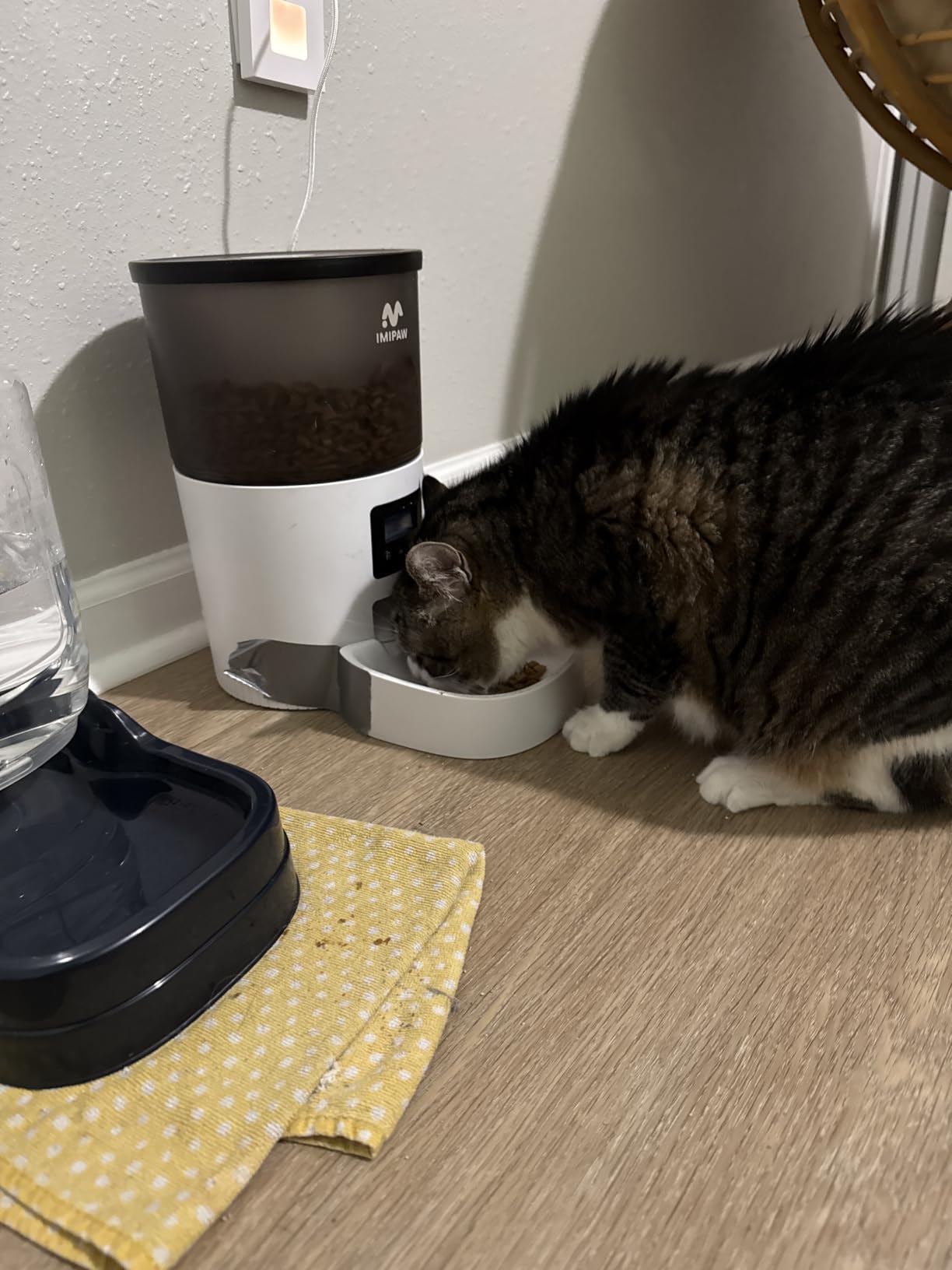 IMIPAW Automatic Cat Feeders, 3L Timed Cat Dry Food Dispenser, Dual Power Supply, Programmable Portion Size, 1-6 Meals Per Day, Auto Pet Feeder for Cats and Small Dogs, with Desiccant Bags customer photo 1