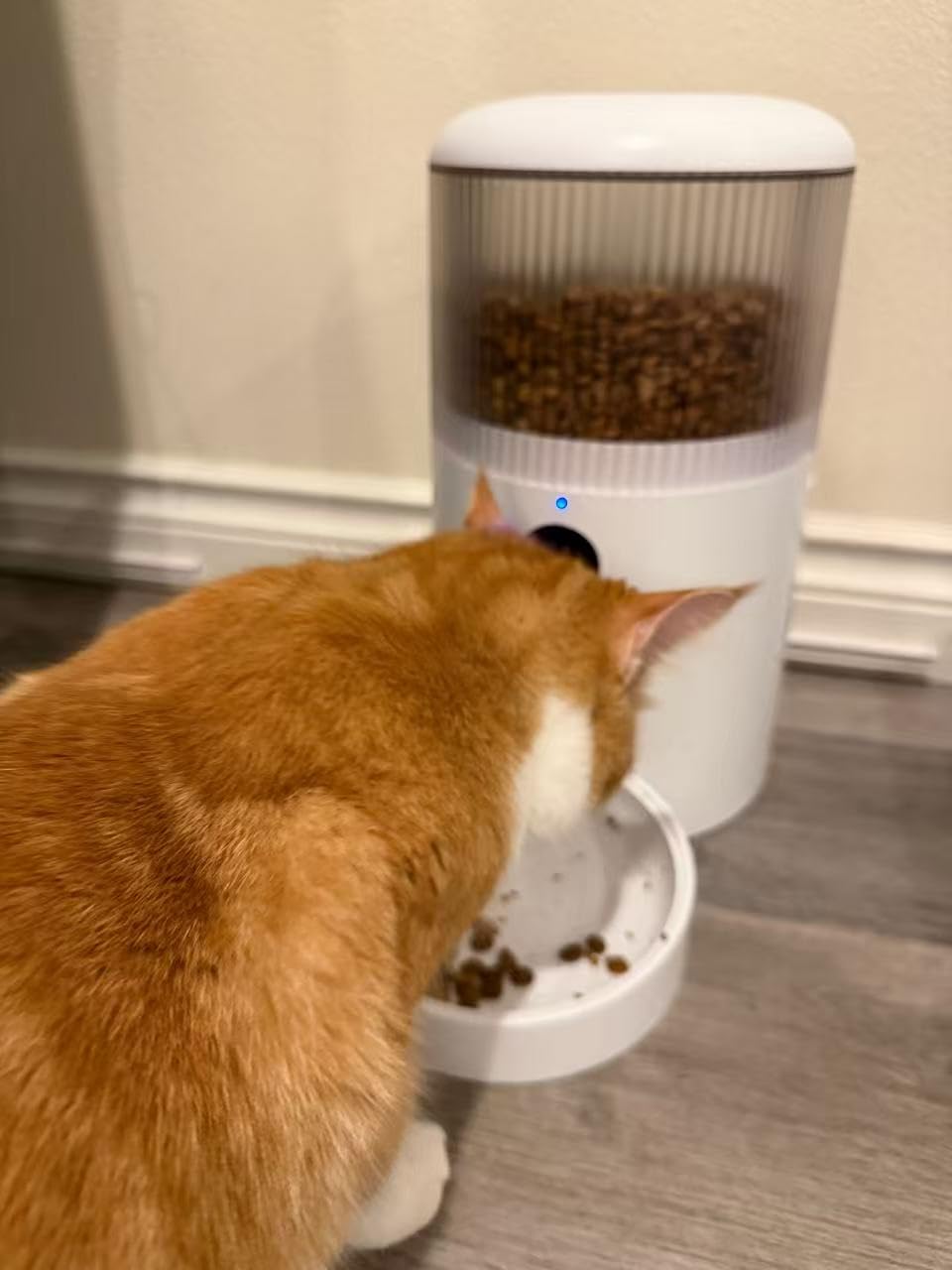 Automatic Cat Feeder with Camera, 3MP HD Video & Night Vision, 5G/2.4G WiFi Smart Pet Feeder with APP Control, 2-Way Audio, Motion Alerts, Low Food Sensor, Timed Cat Feeder for Cats & Dogs, 4L customer photo 2