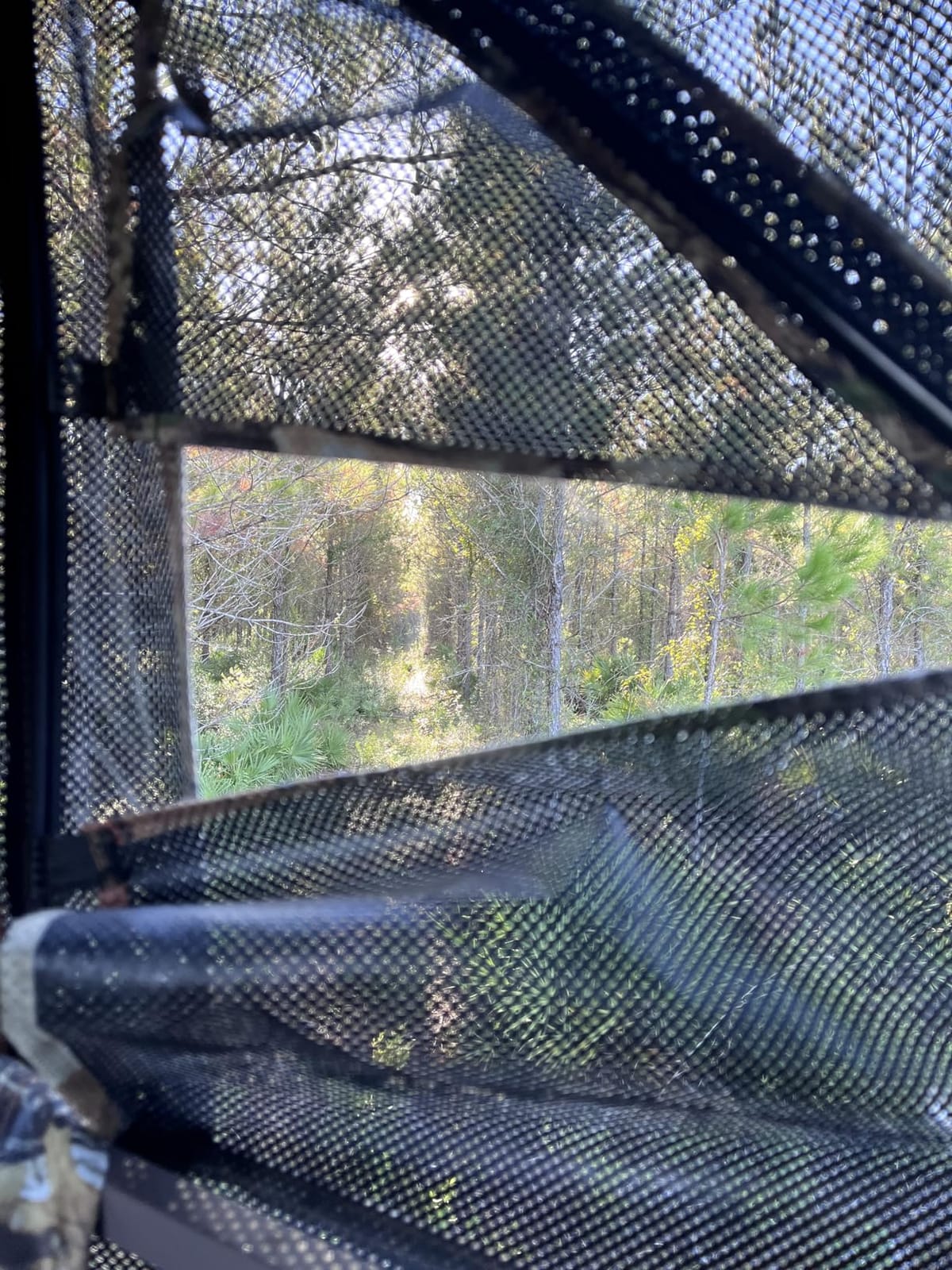 TIDEWE Hunting Blind 360 See Through, Pop Up Ground Blind with Large Door | Pop Up Tent with Large Door, Removable Curtain & Portable Carrying Bag, Quiet Sliding Windows for Deer Turkey Hunting customer photo 1