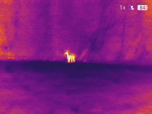 TOPDON TS004 Thermal Imaging Monocular, 13mm 50Hz Night Vision | 320 x 240 TISR 256 x 192 IR Resolution, Supported Wireless Connection, 11h Battery Life, IP67 Monocular for Hunting, Green customer photo 1