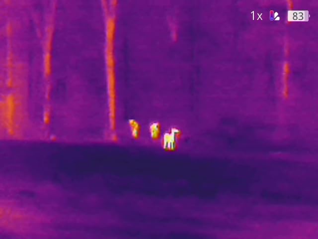 TOPDON TS004 Thermal Imaging Monocular, 13mm 50Hz Night Vision | 320 x 240 TISR 256 x 192 IR Resolution, Supported Wireless Connection, 11h Battery Life, IP67 Monocular for Hunting, Green customer photo 2