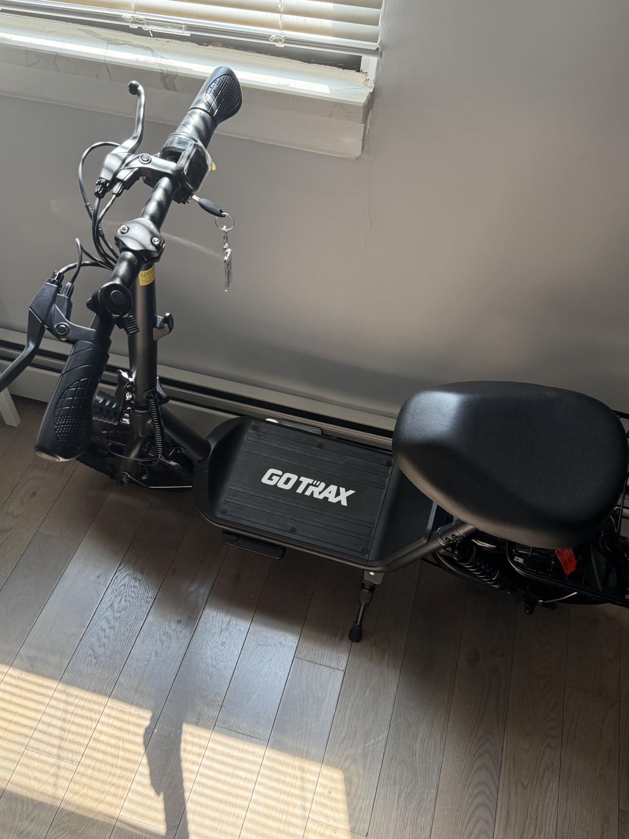 Gotrax 12