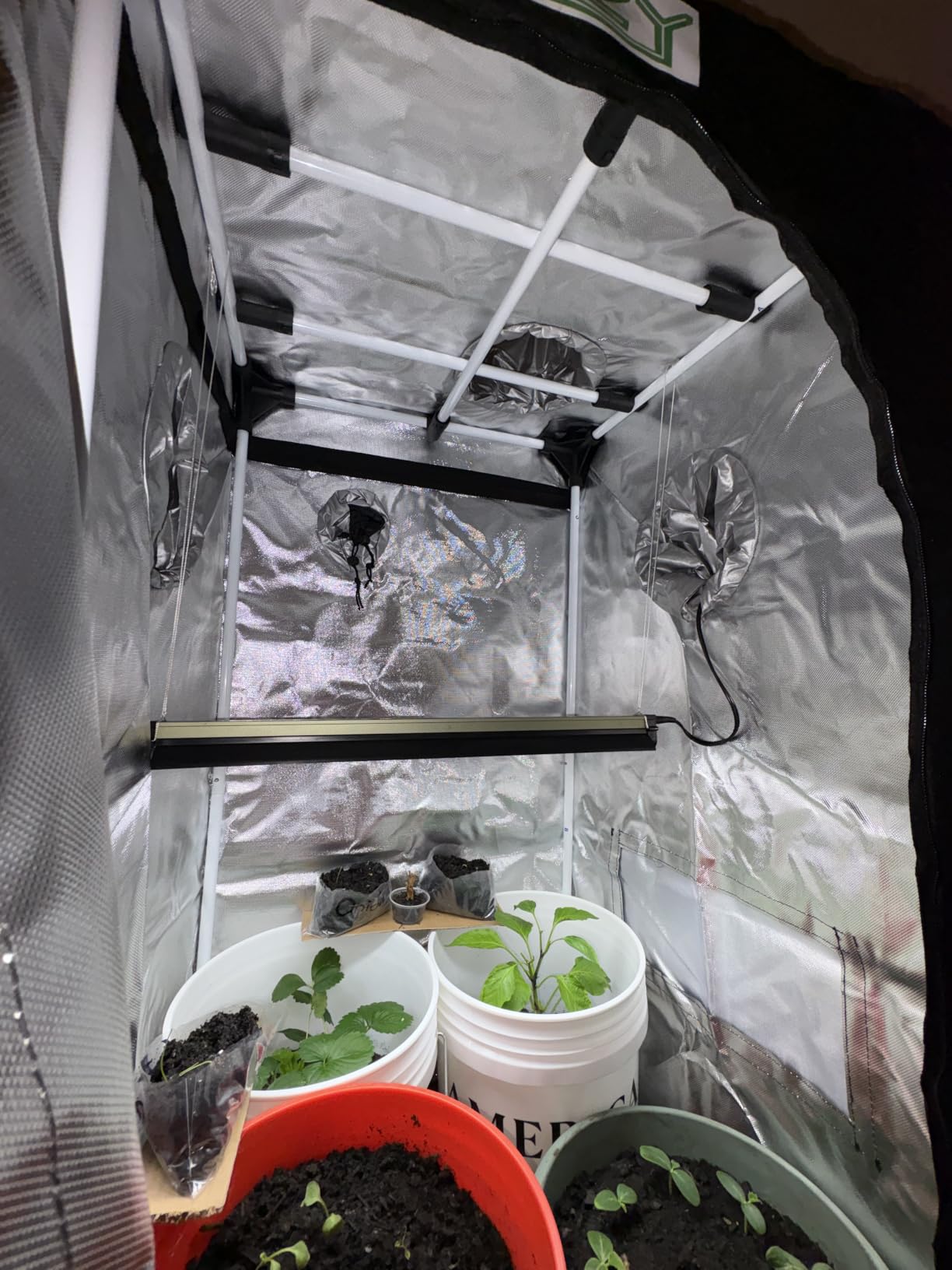 Zazzy Grow Tent 18