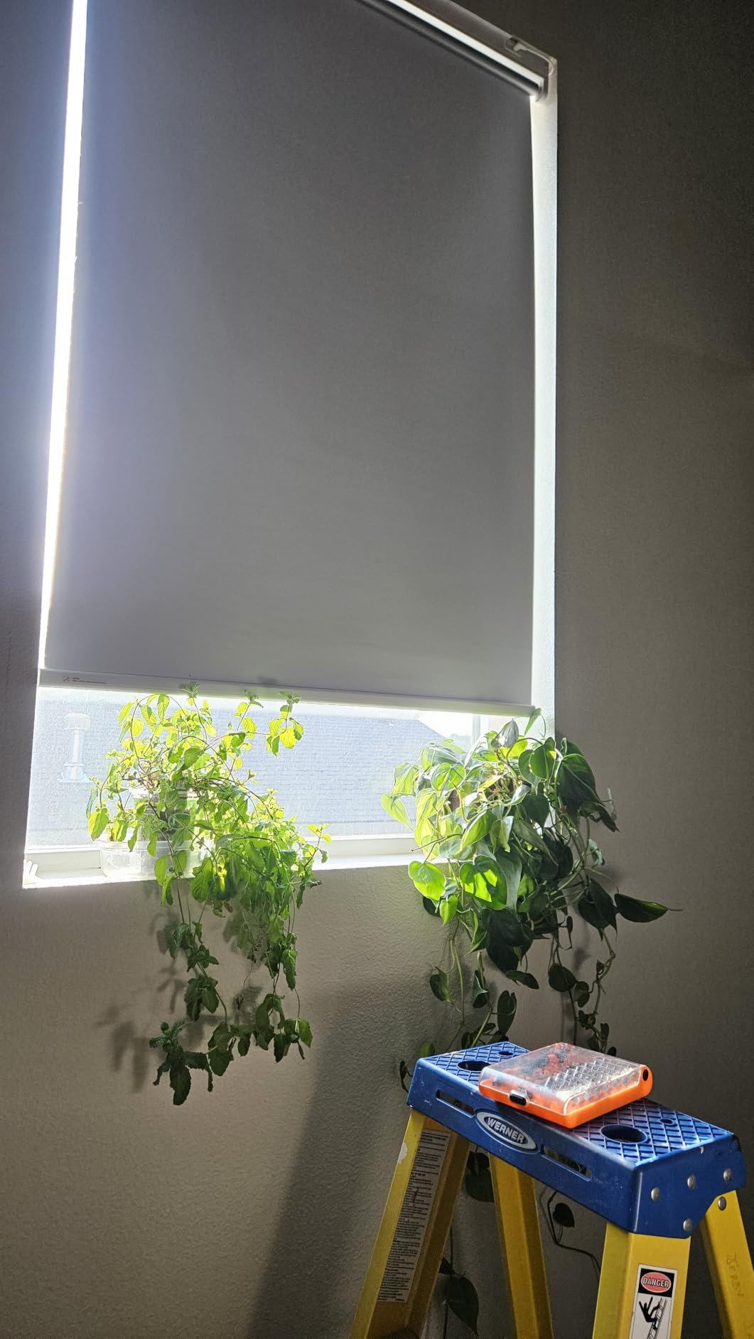 Motorized Blinds, Blackout Roller Blinds with Remote Control & Solar Panel | Automatic Electric Shades for Windows, Compatible with Alexa, Smart Blinds for Bedroom and Living Room, White, 34