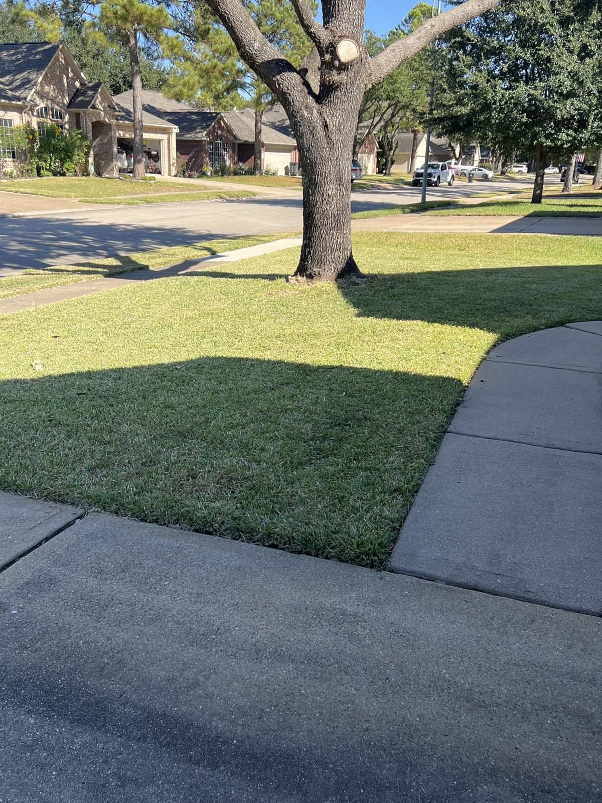 SKIL PWR CORE 40 Brushless 40V 20-Inch Self-Propelled Mower Kit, Includes 6.0Ah Battery and Auto PWR JUMP Charger - SM4910C-11 customer photo 2
