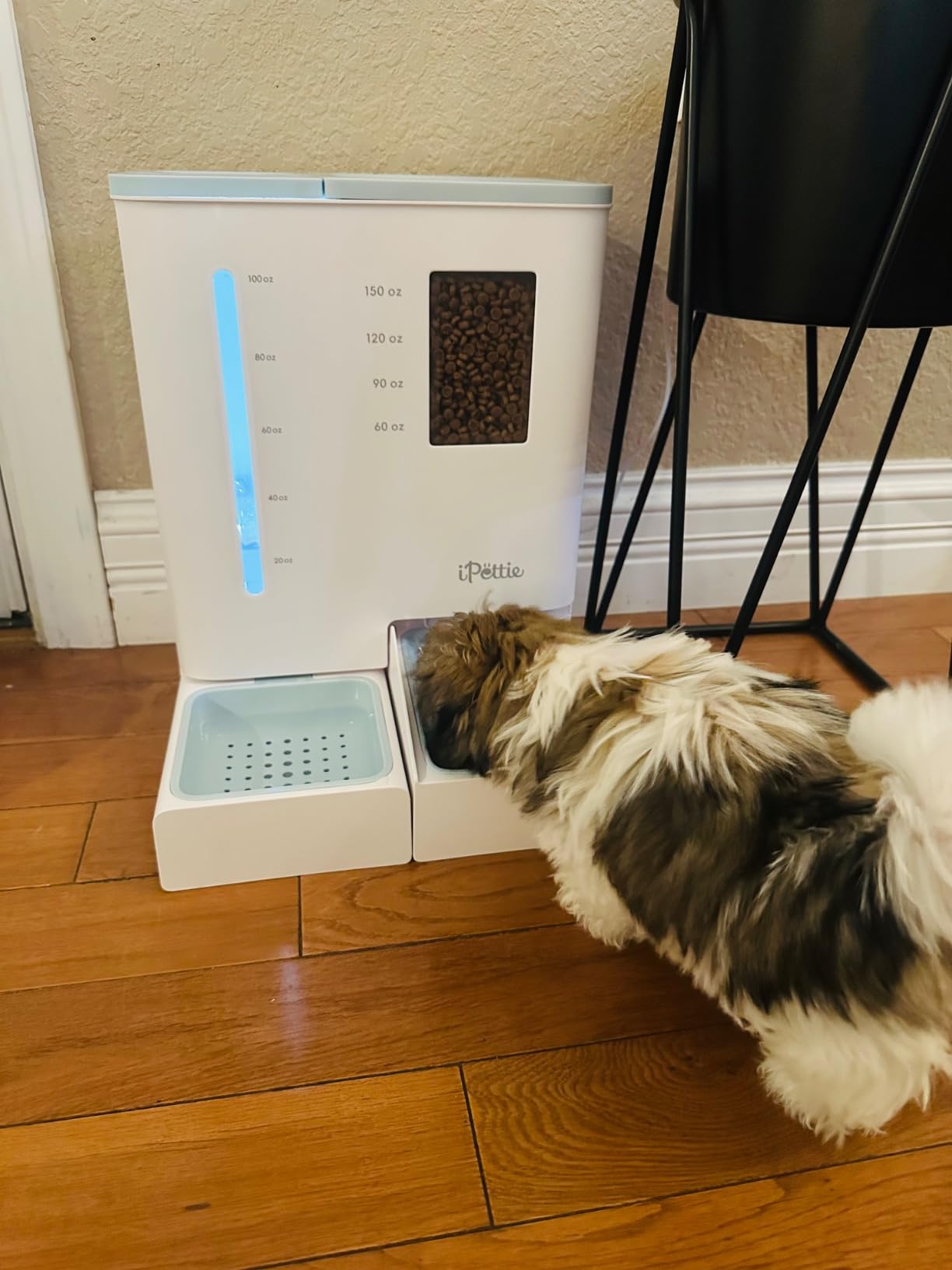 iPettie FW54 5G/2.4GHz WiFi Automatic Feeder and Waterer 2-in-1 Set for Pet | 300 oz Large Capacity for 2 Weeks, APP Scheduling & Alerts, Dual Power Supply, 1 Filter Included, Perfect for Working Parents customer photo 2