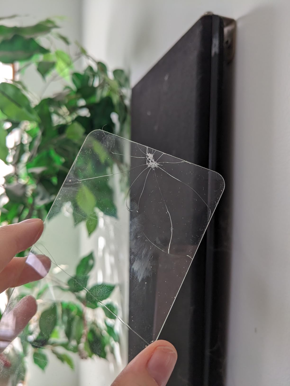 ivoler Screen Protector for iPhone 16/15 6.1